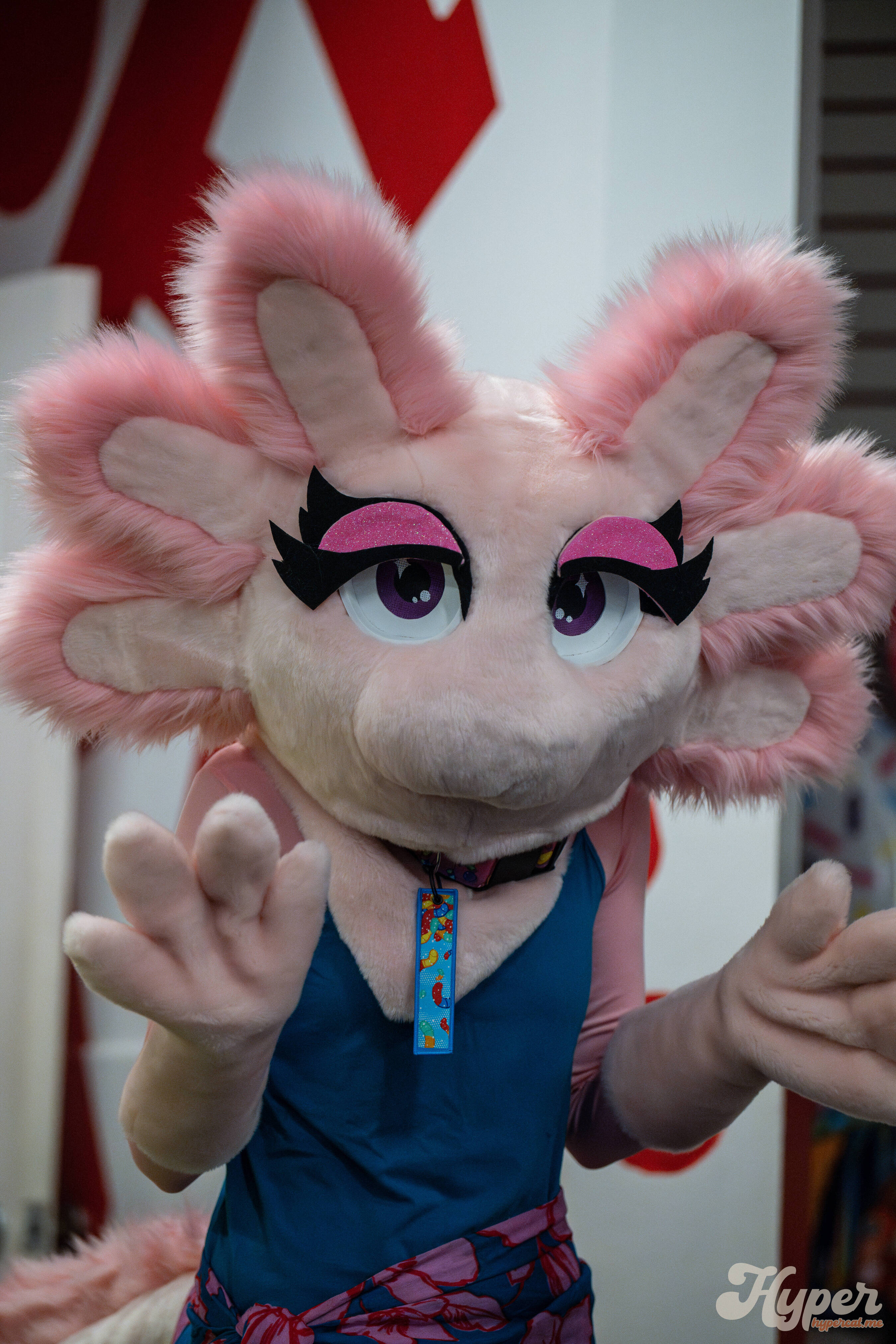 MDFurs Furskate (May 2025)