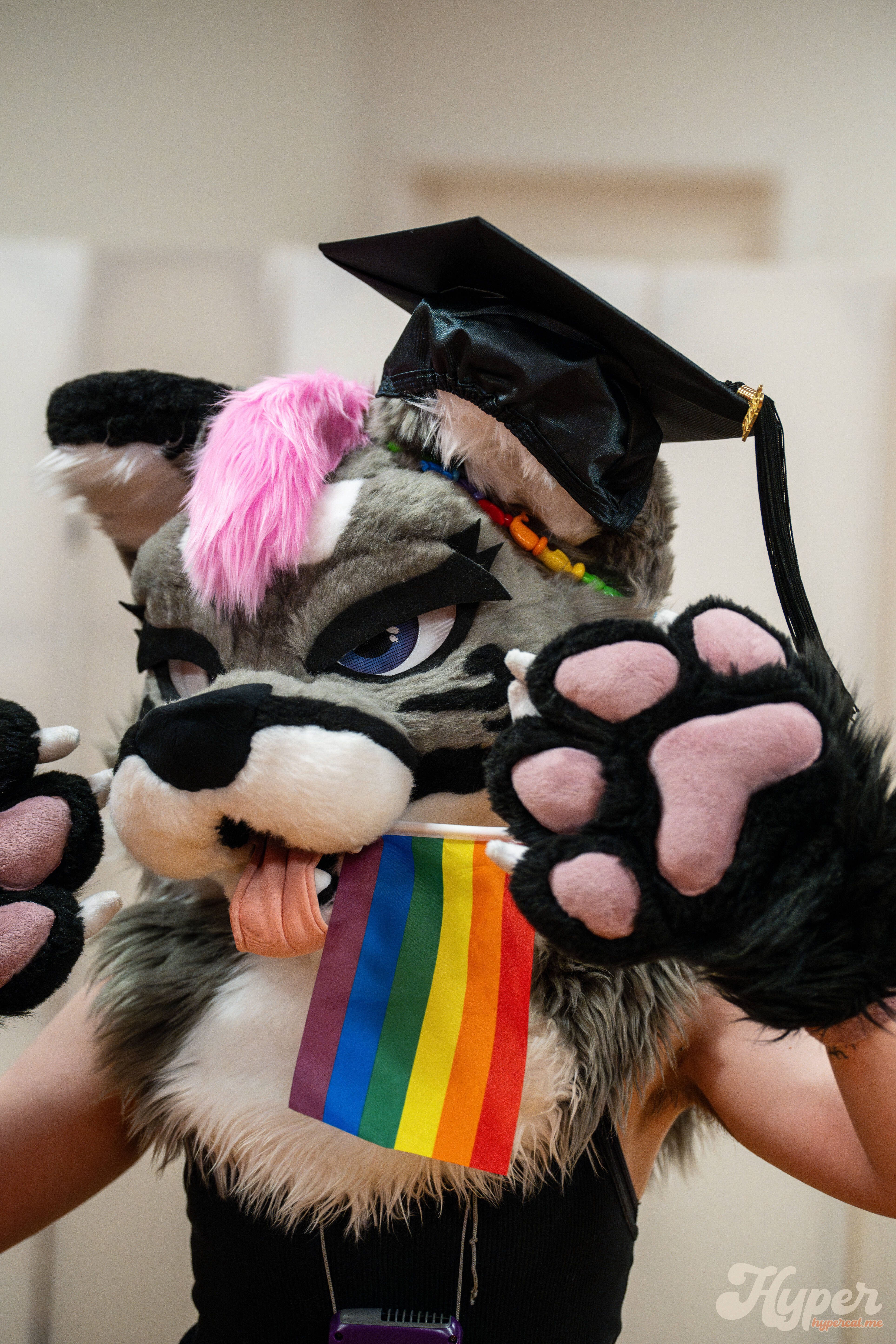 MDFurs Furskate (May 2025)