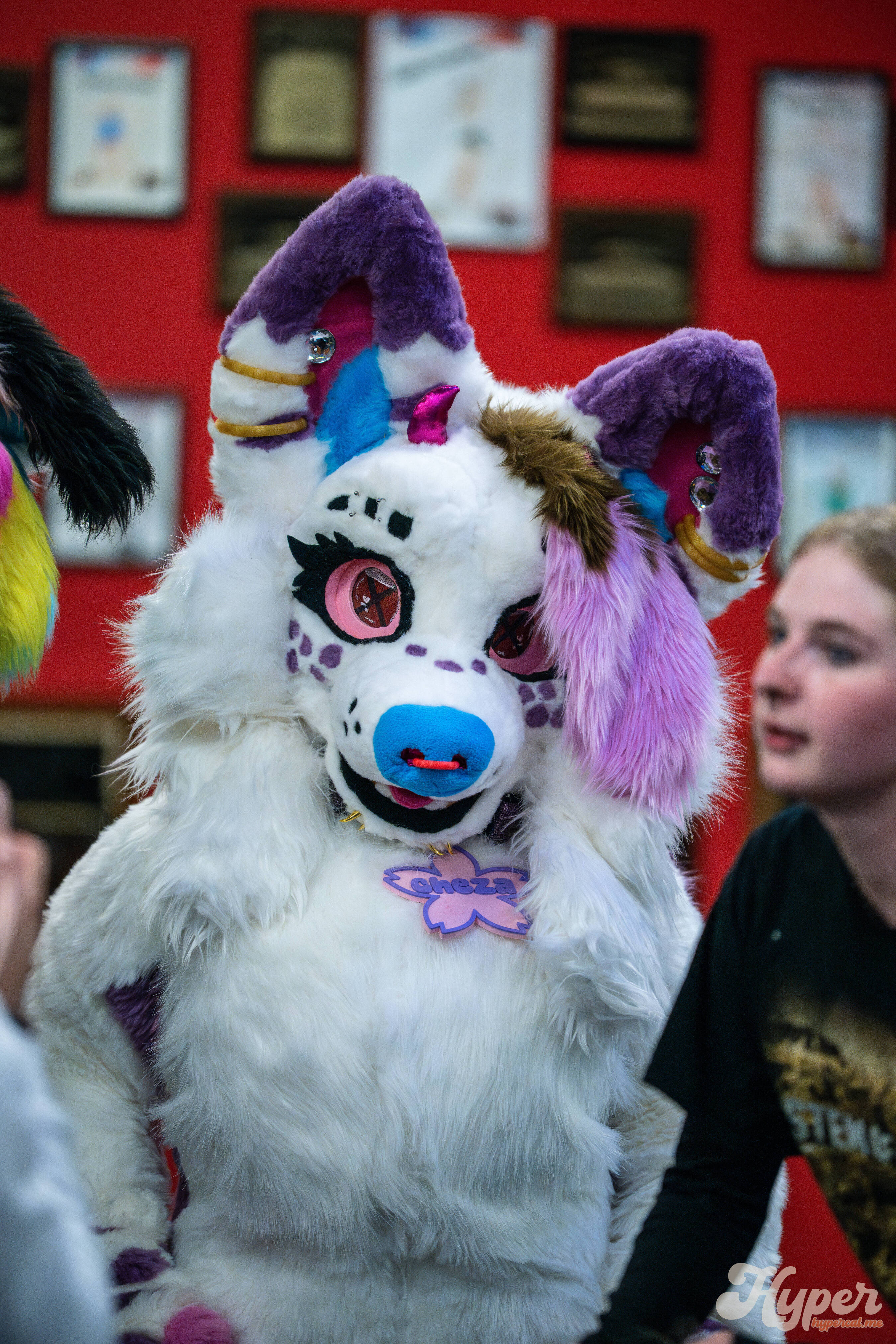 MDFurs Furskate (May 2025)