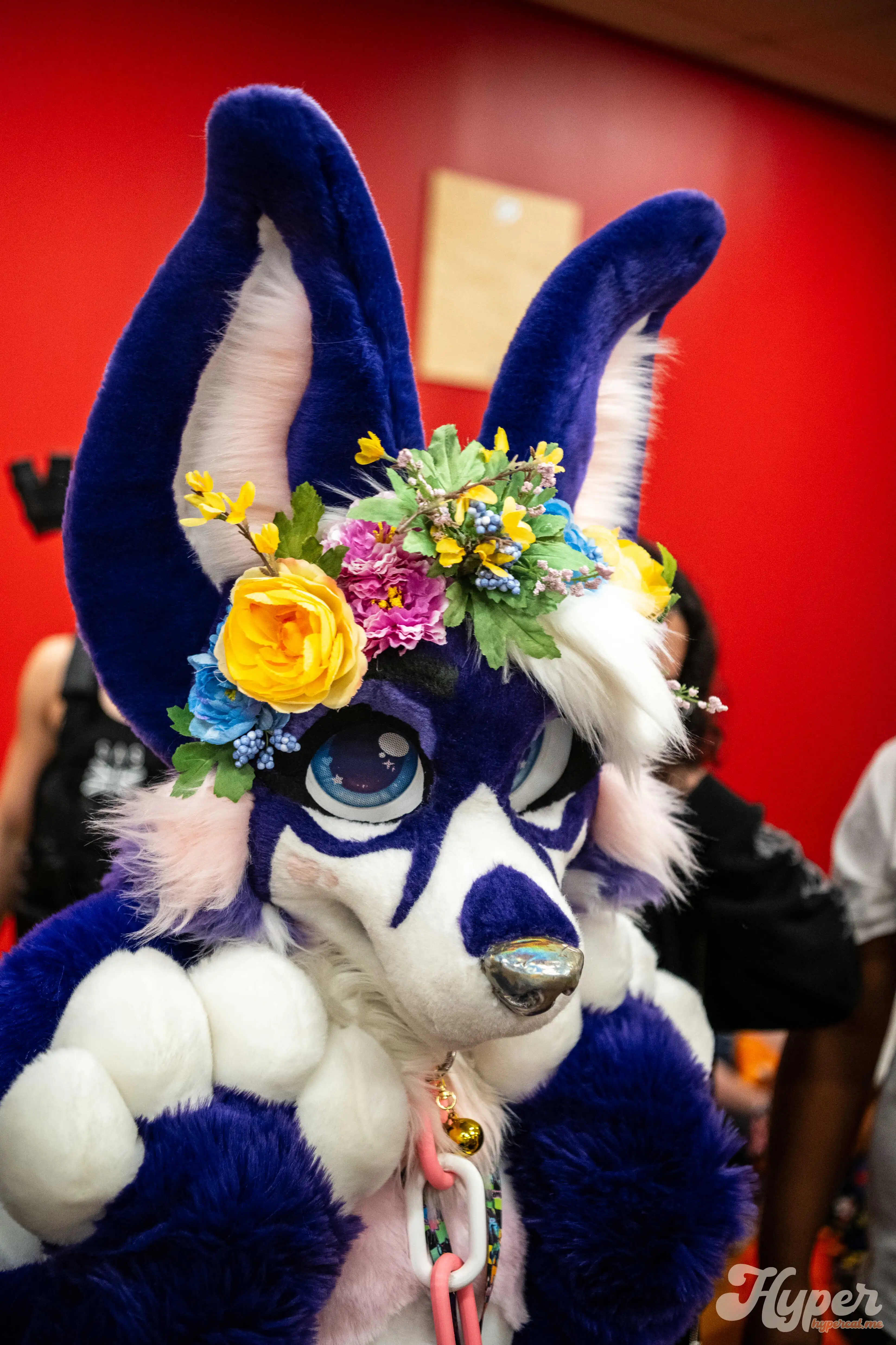 MDFurs Furskate (May 2025)