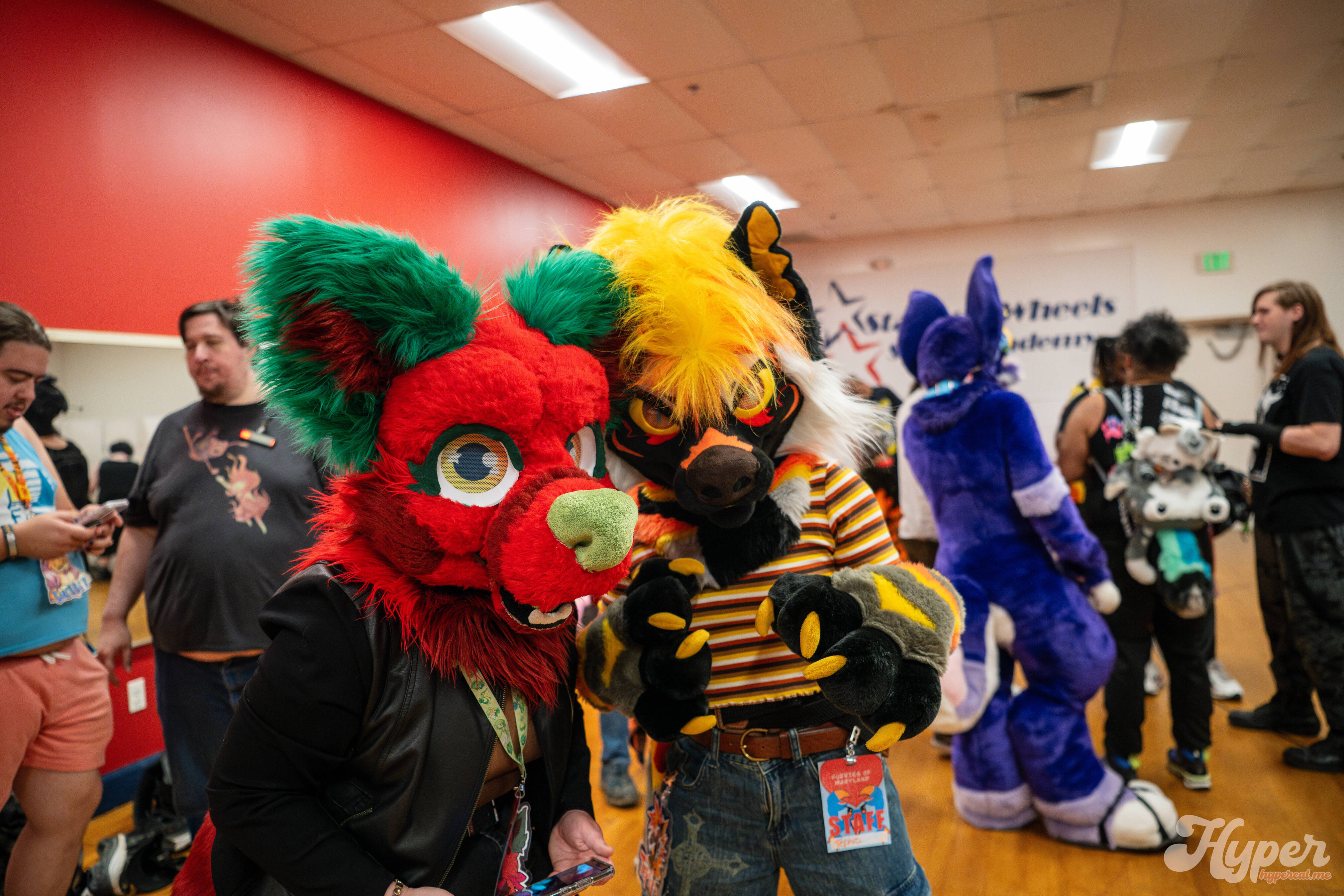 MDFurs Furskate (May 2025)