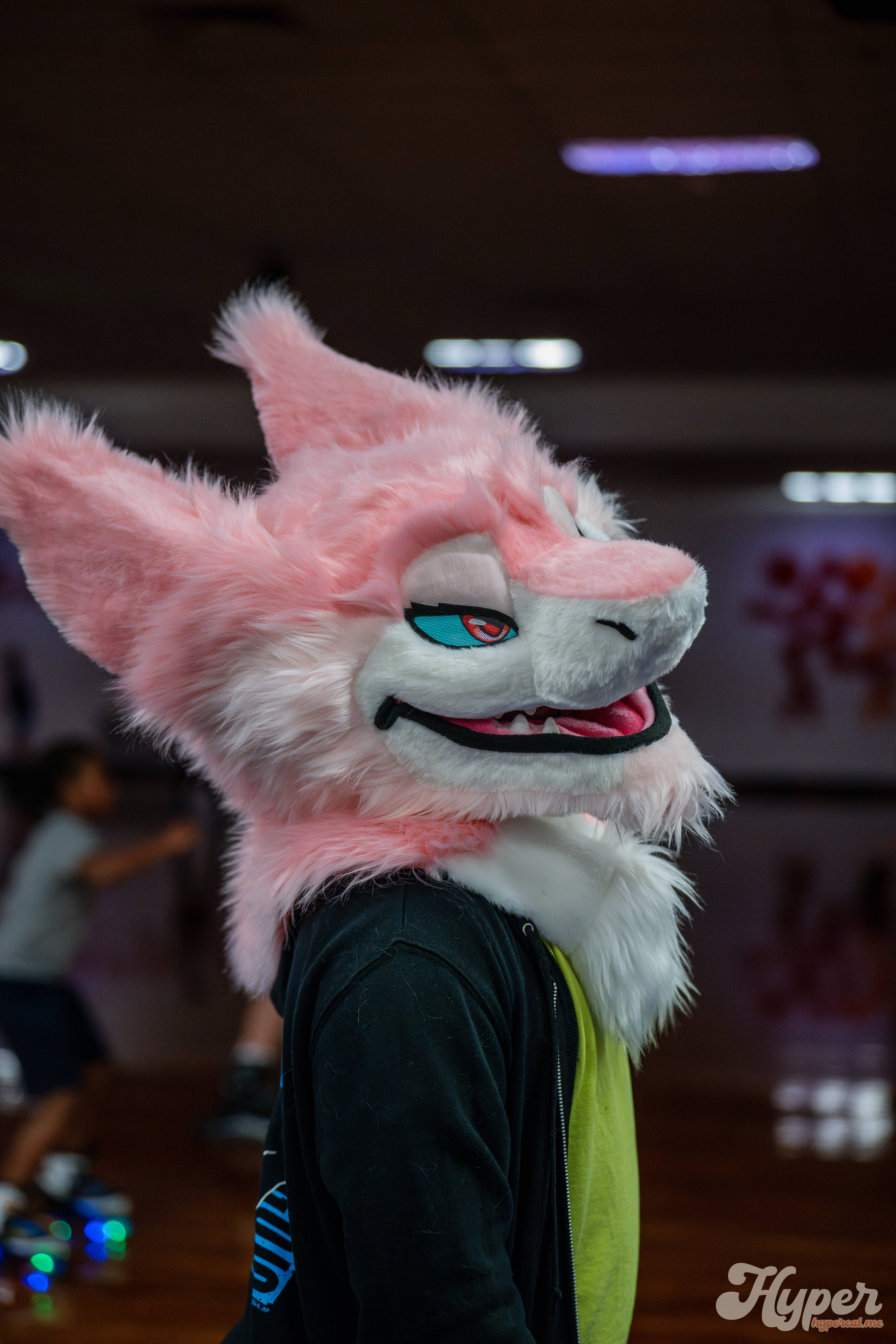 MDFurs Furskate (May 2025)
