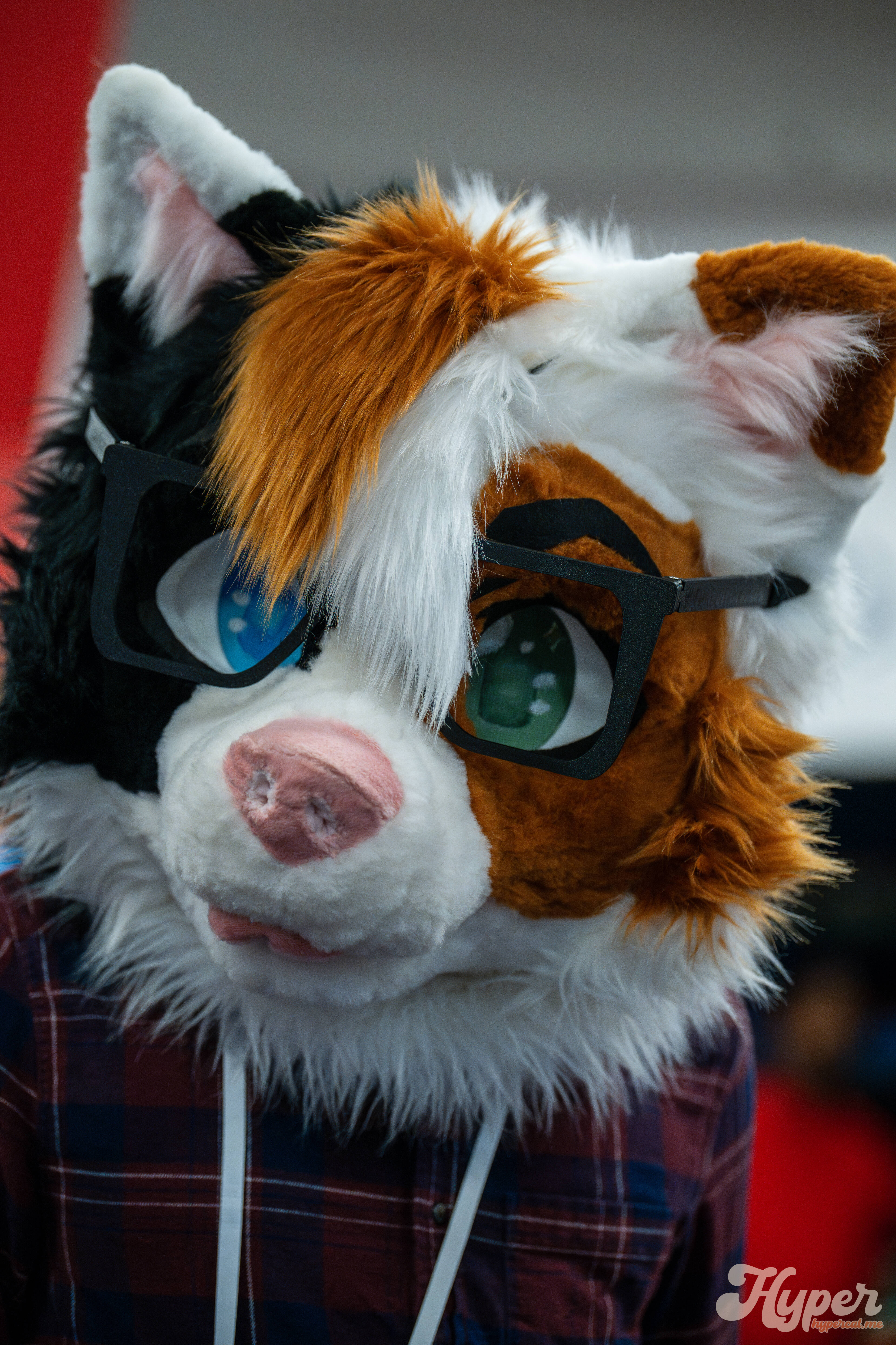 MDFurs Furskate (May 2025)
