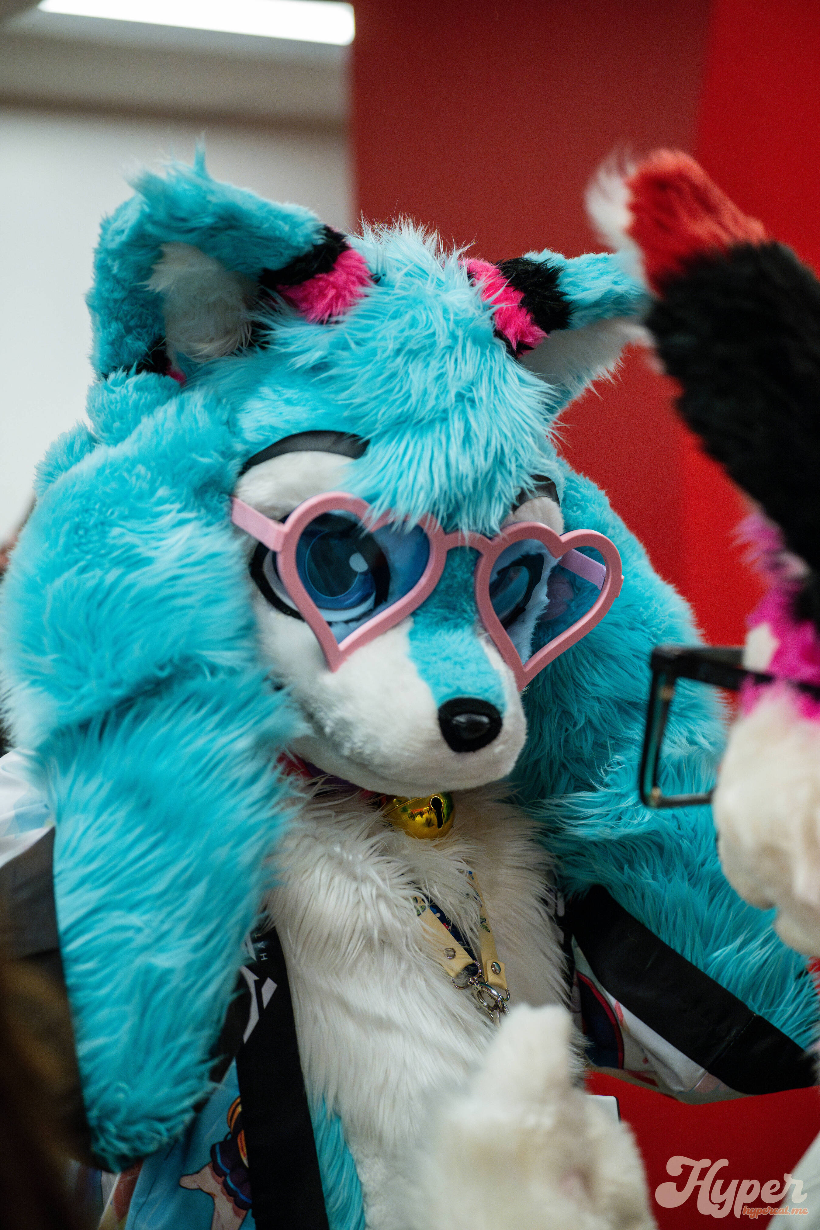 MDFurs Furskate (May 2025)