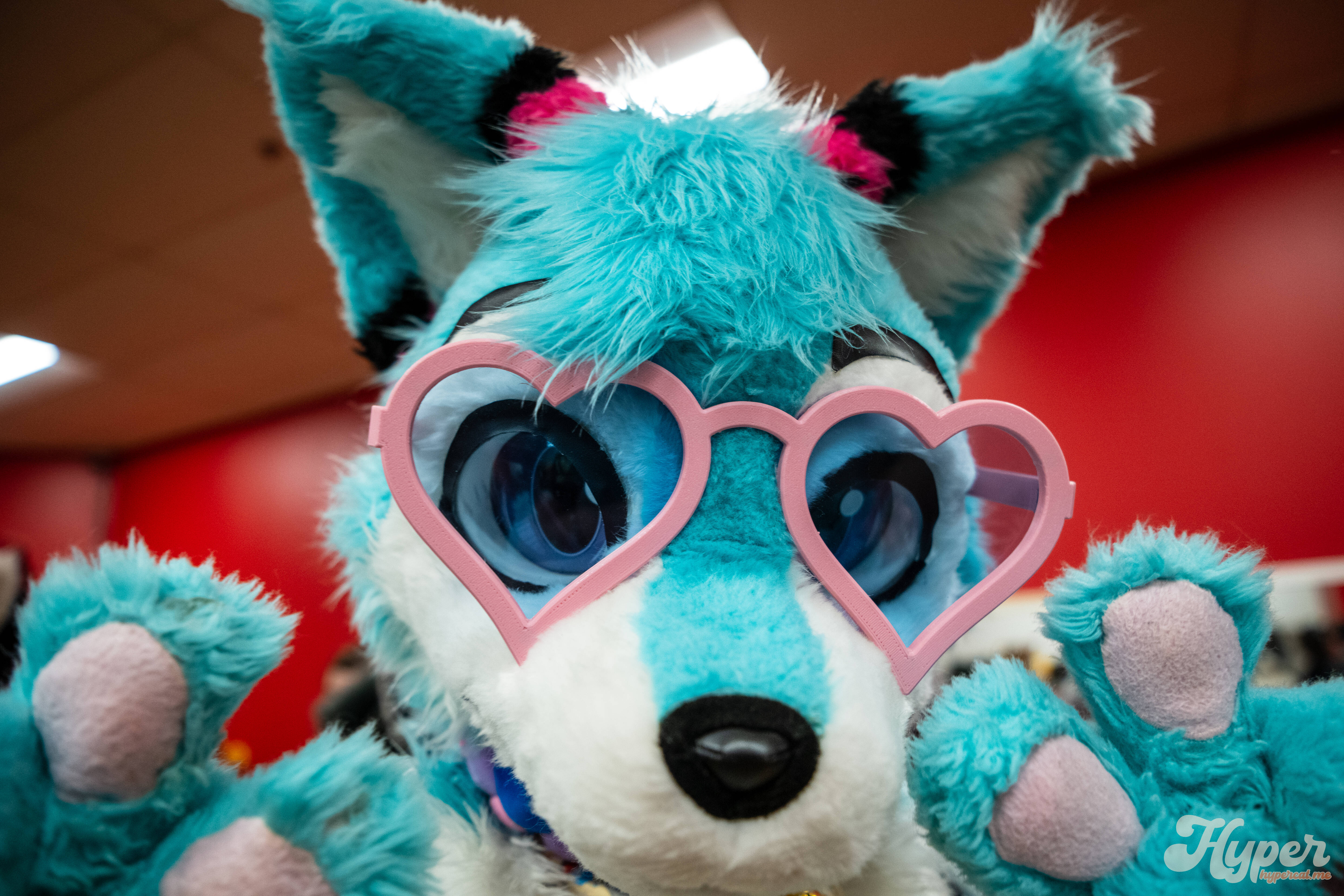 MDFurs Furskate (May 2025)