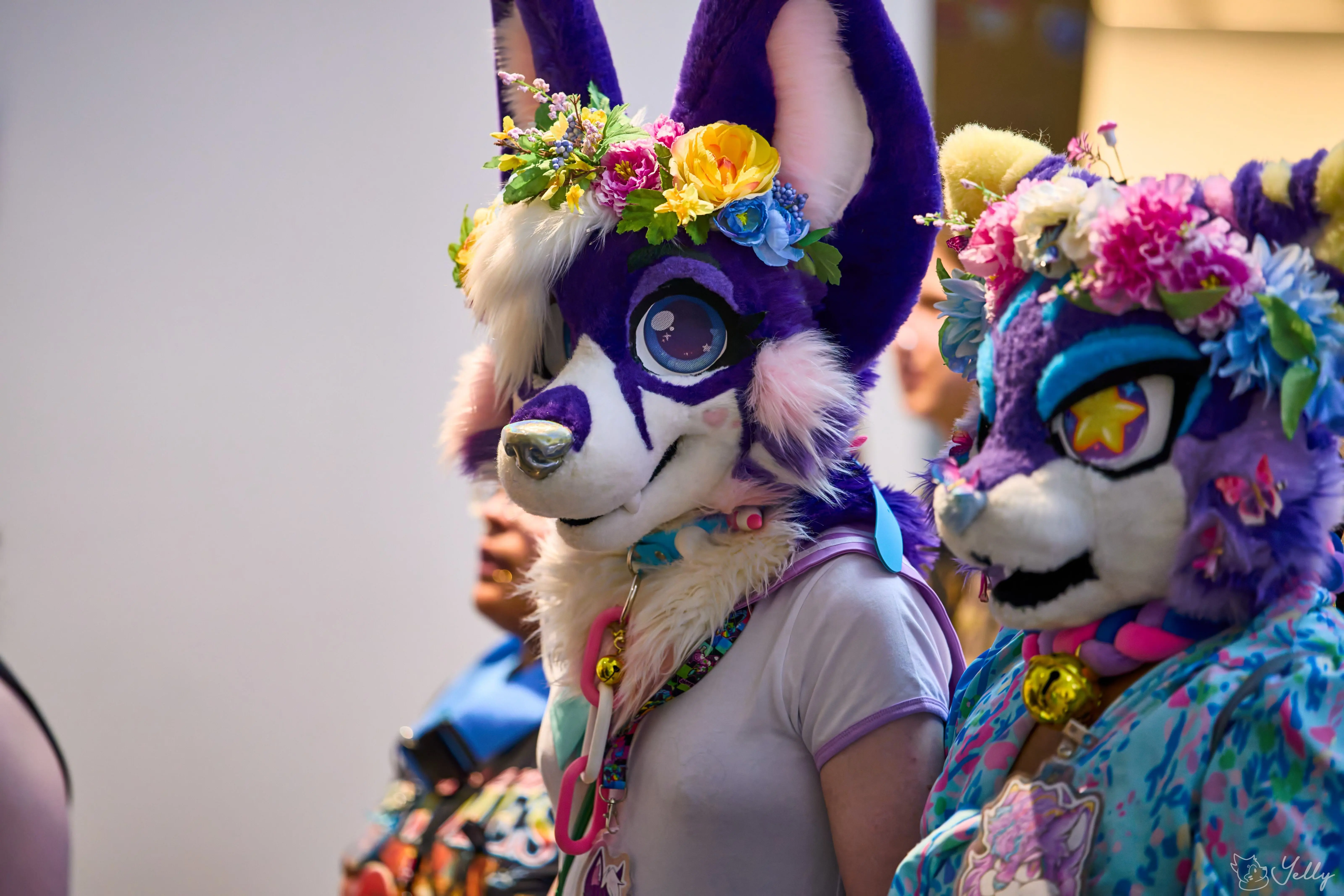 Anthrocon 2025 (July 2025)