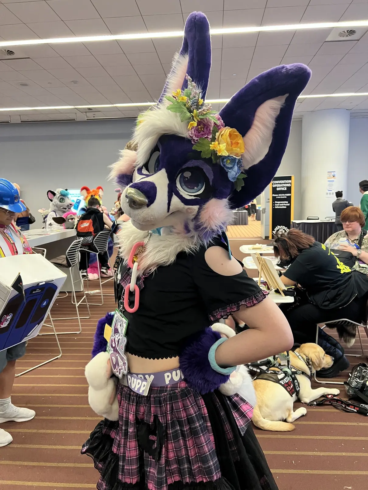 Anthrocon 2025 (July 2025)
