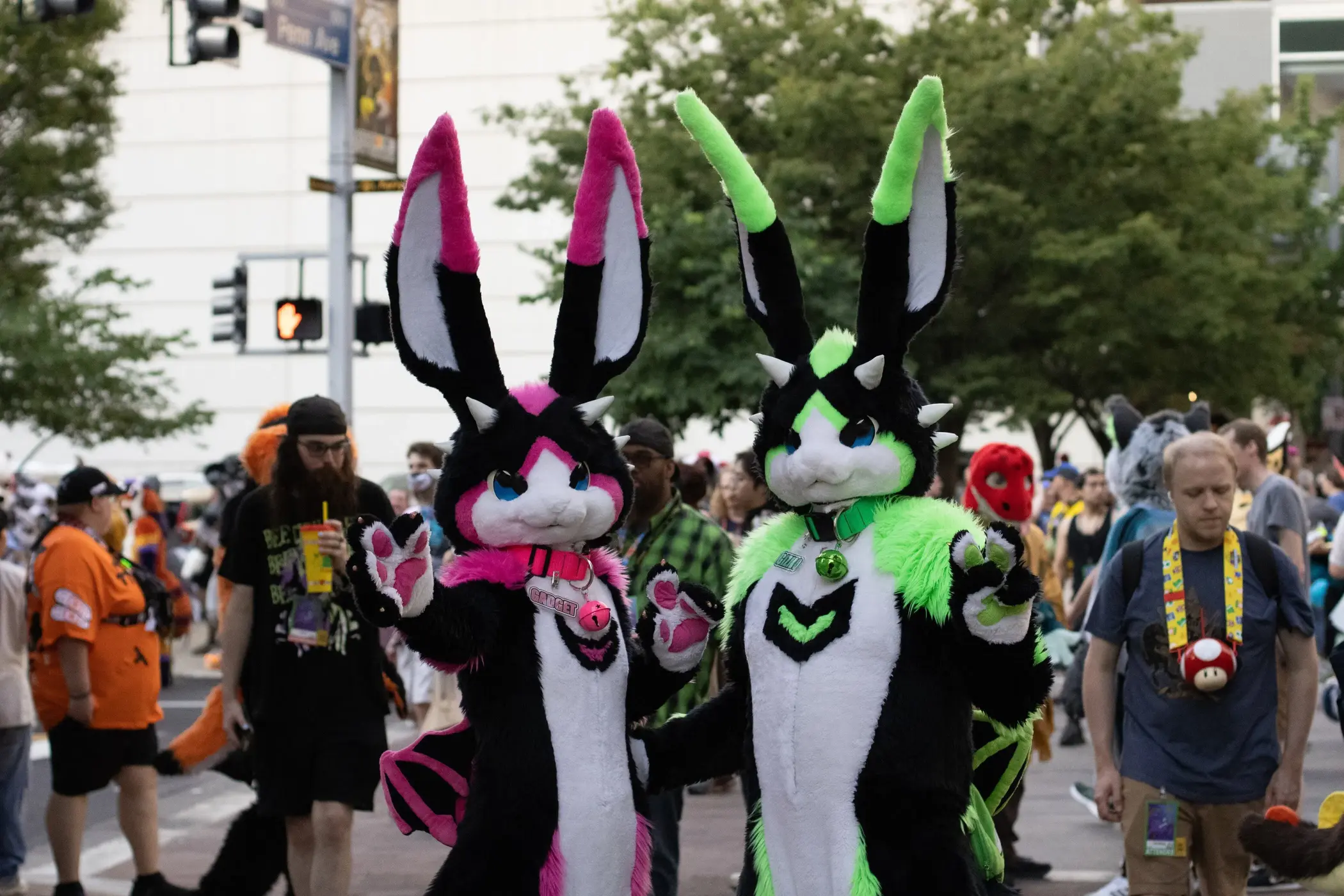 Anthrocon 2025 (July 2025)