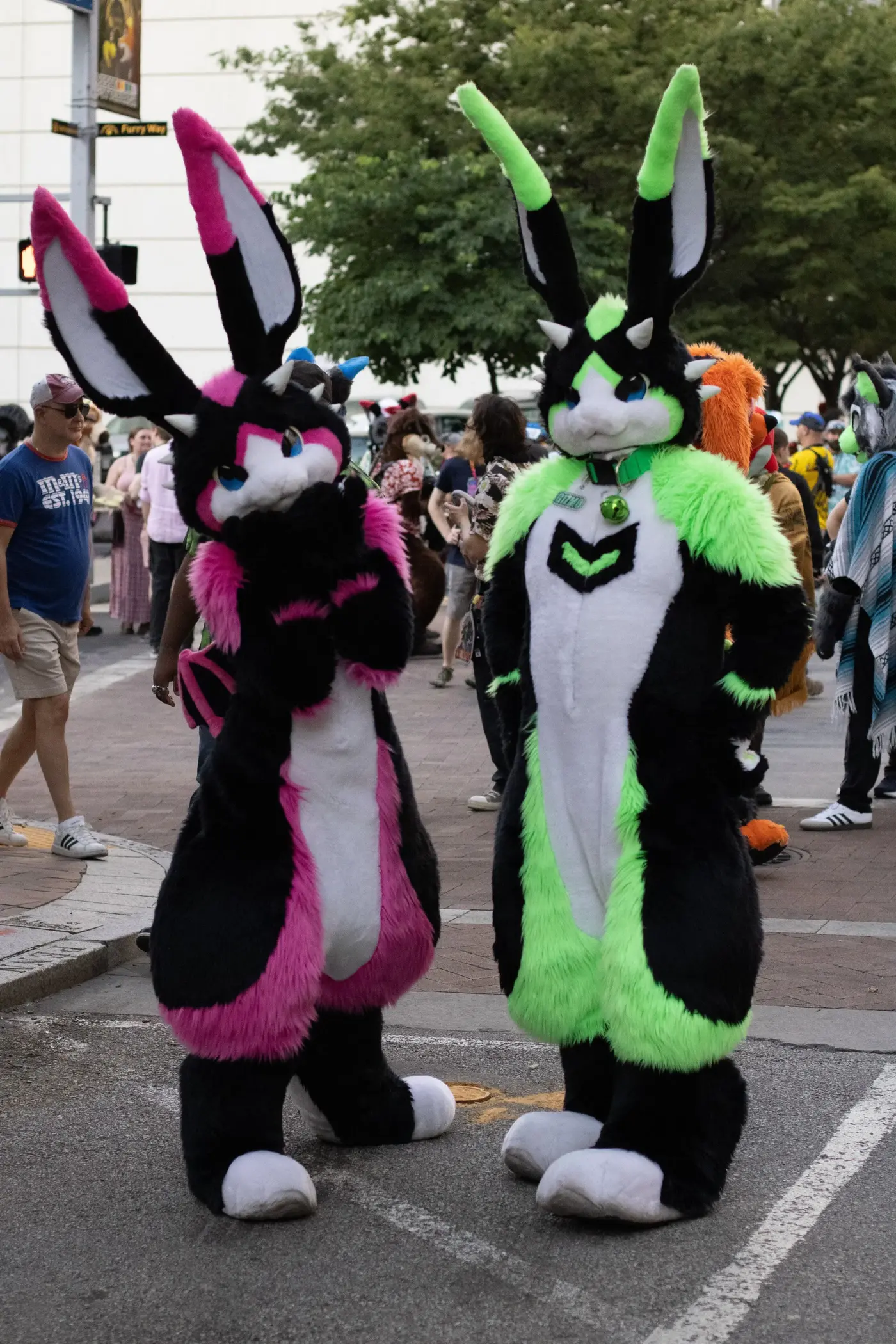 Anthrocon 2025 (July 2025)