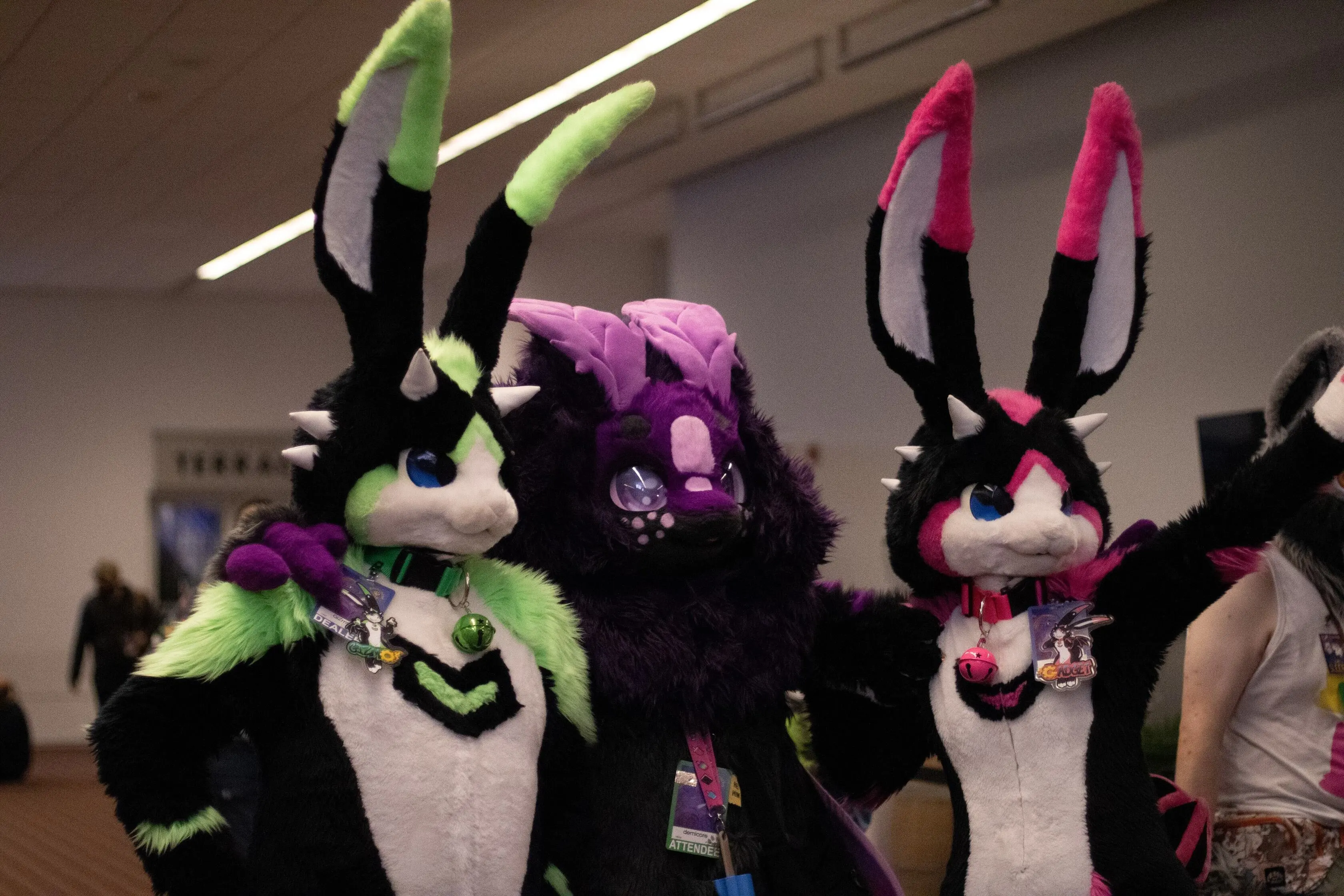 Anthrocon 2025 (July 2025)