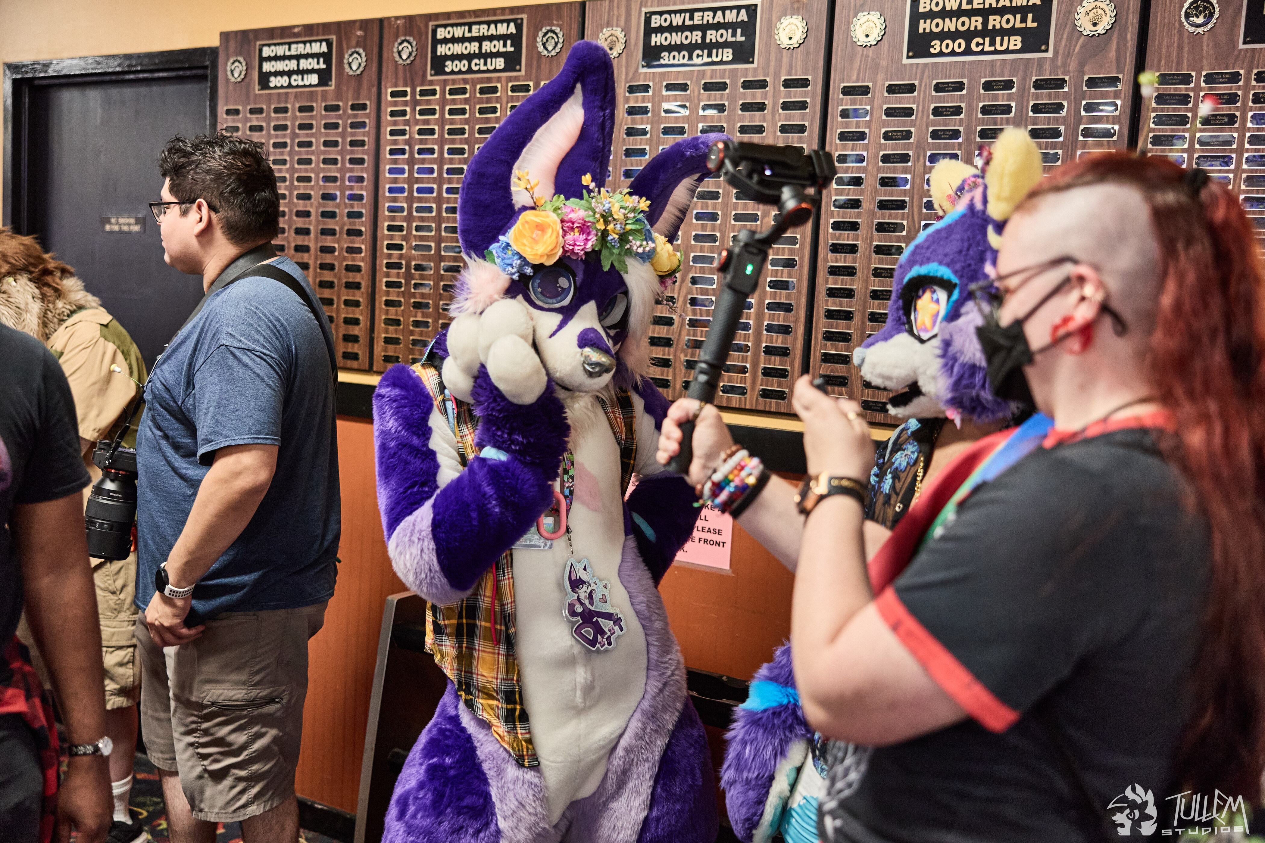 Delaware Furbowl 91 (June 2025)