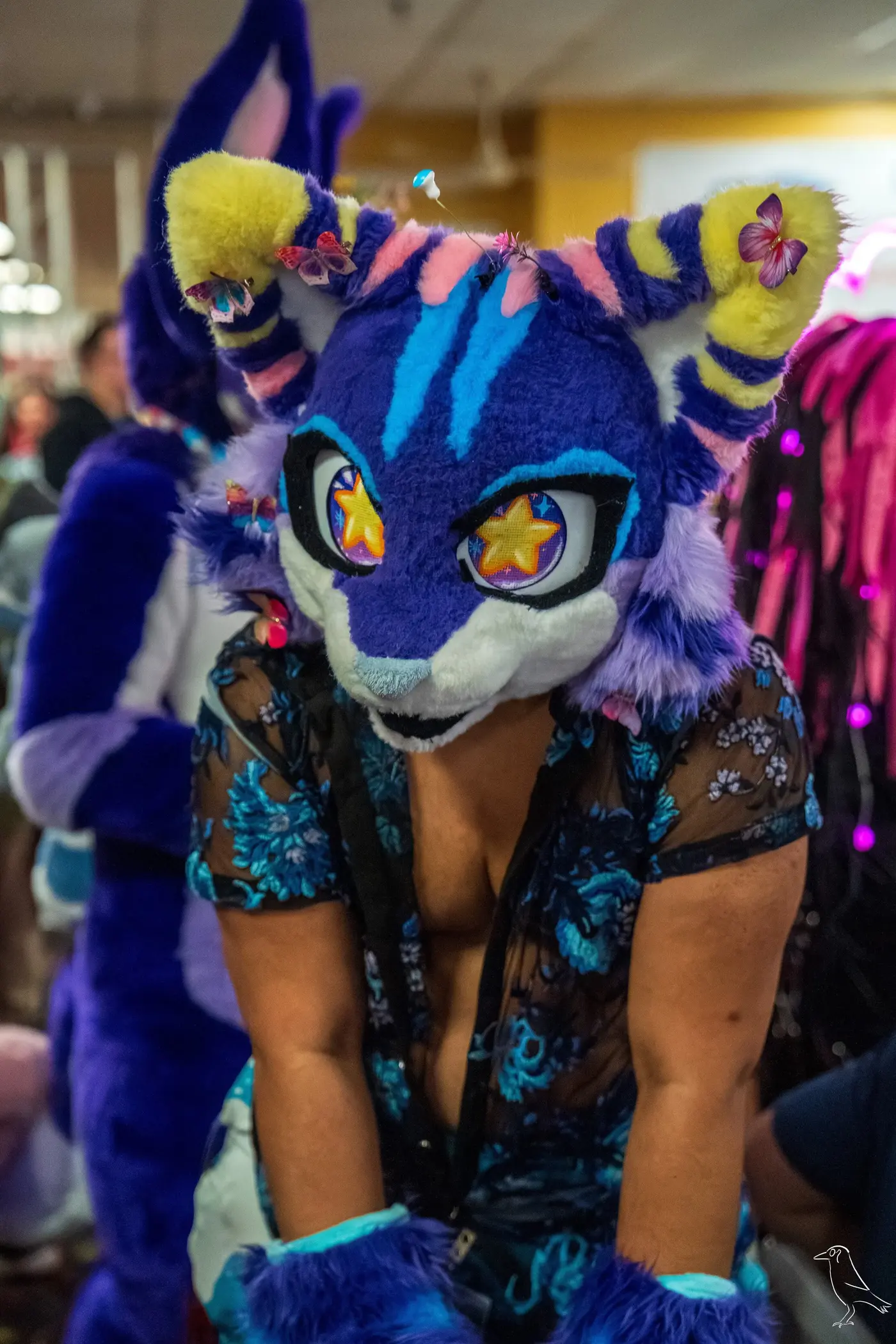Delaware Furbowl 91 (June 2025)