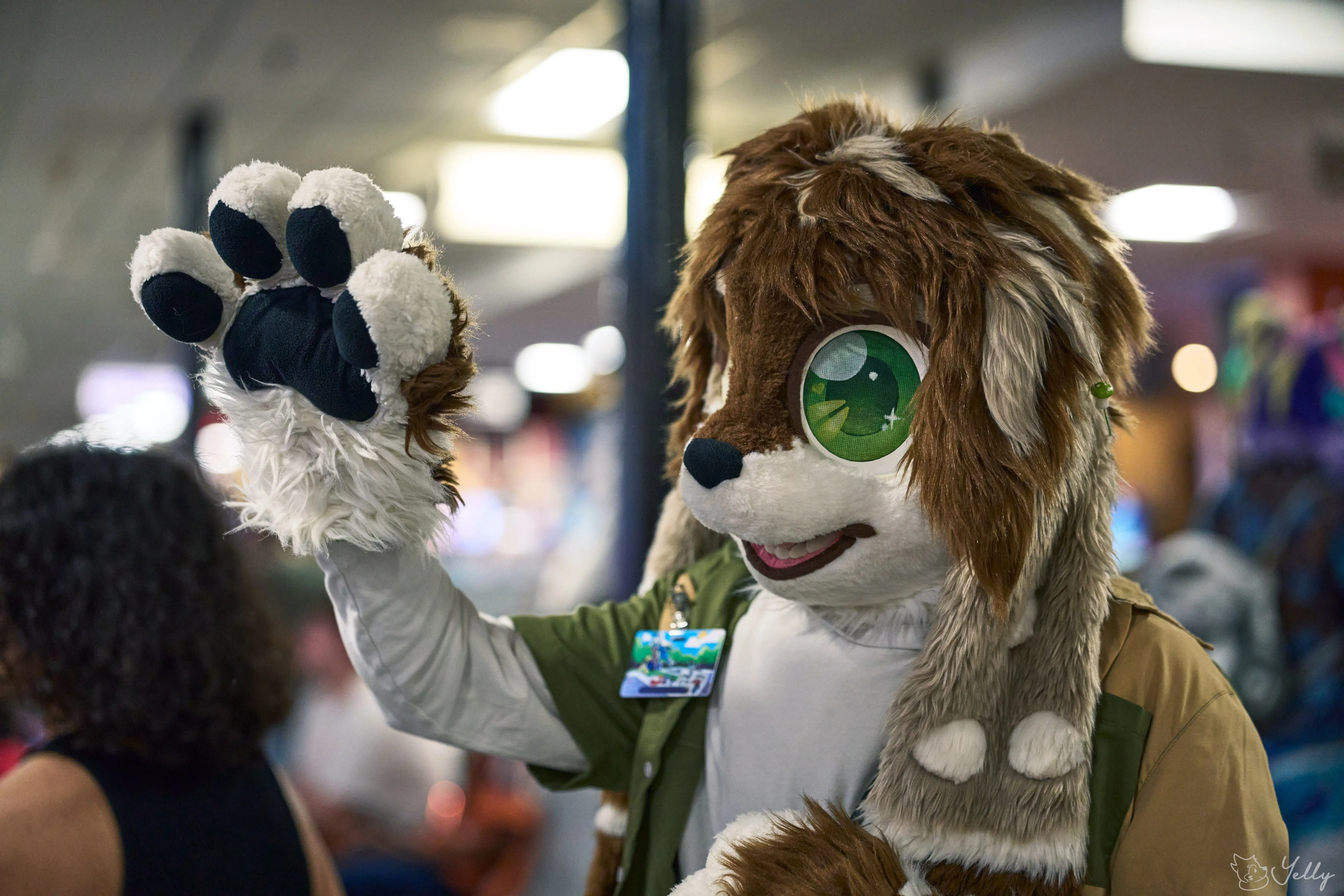 Delaware Furbowl 91 (June 2025)