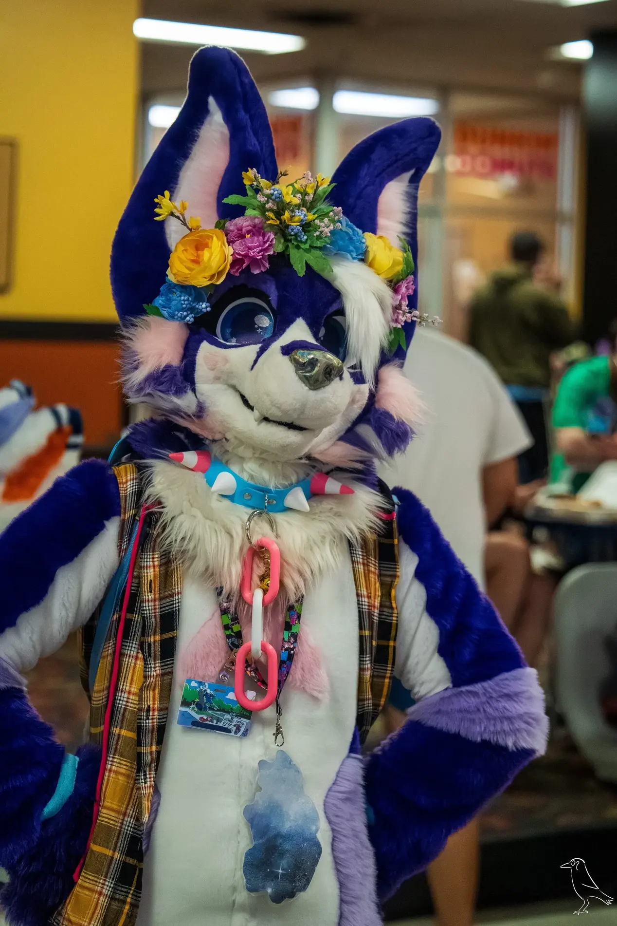 Delaware Furbowl 91 (June 2025)