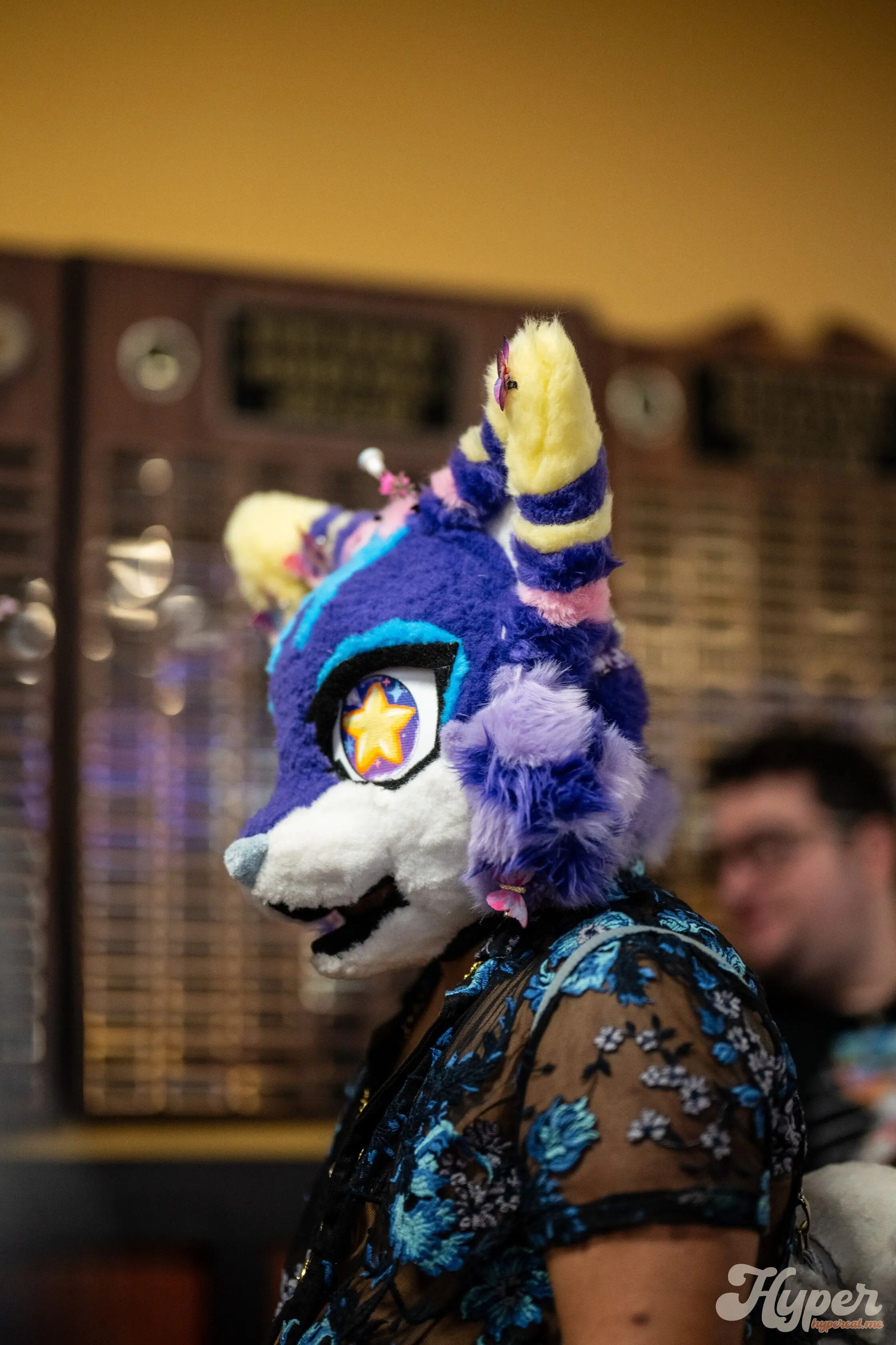 Delaware Furbowl 91 (June 2025)