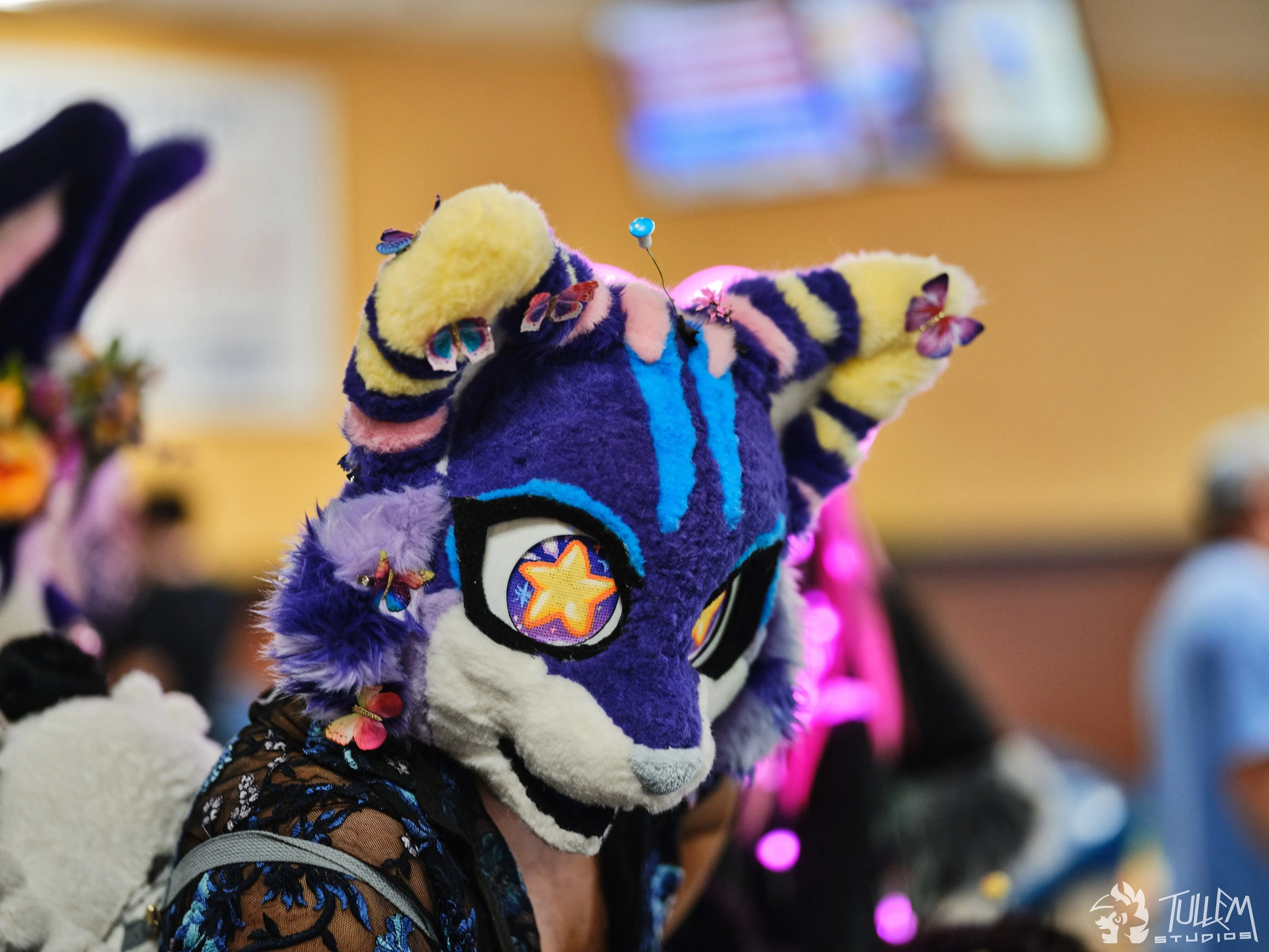 Delaware Furbowl 91 (June 2025)