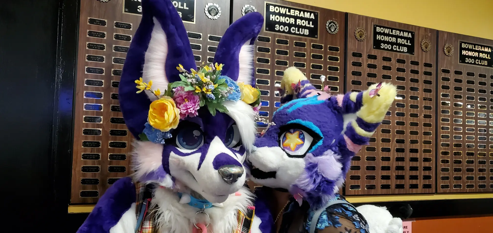 Delaware Furbowl 91 (June 2025)