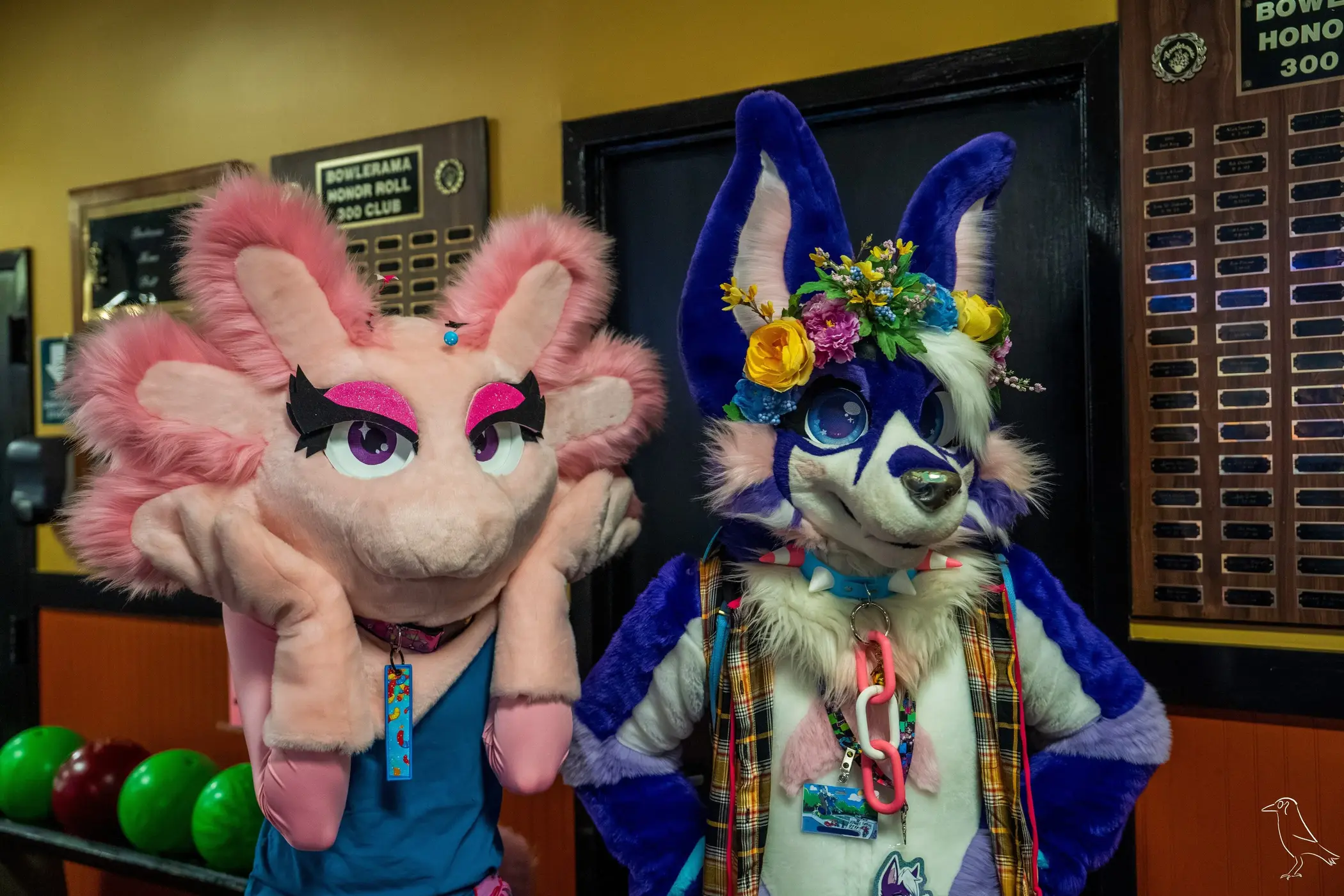 Delaware Furbowl 91 (June 2025)