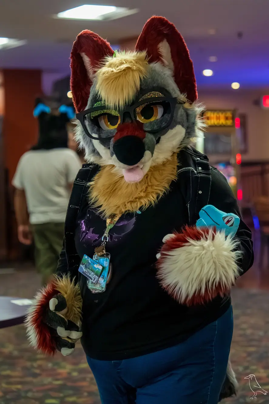 Delaware Furbowl 91 (June 2025)