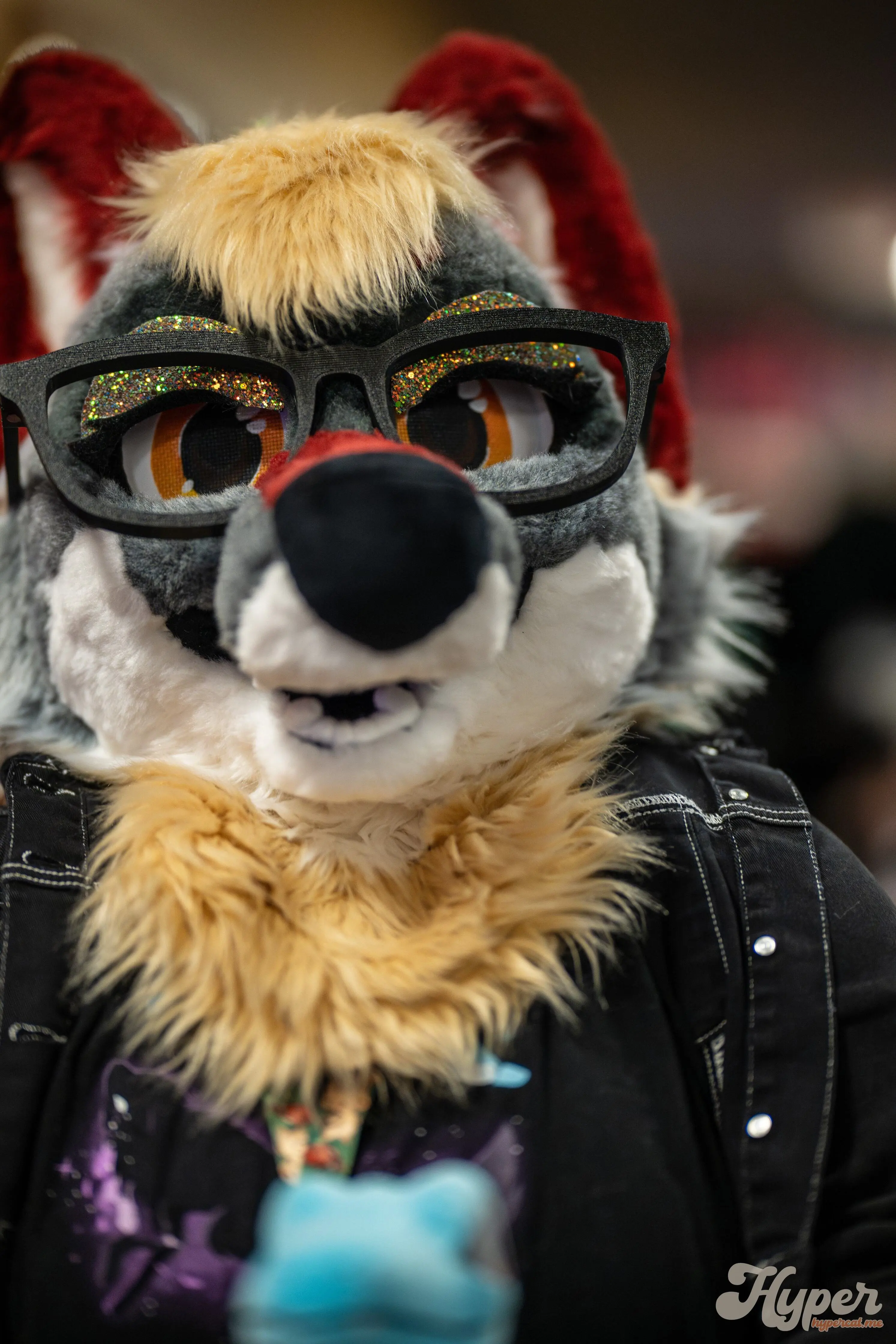Delaware Furbowl 91 (June 2025)