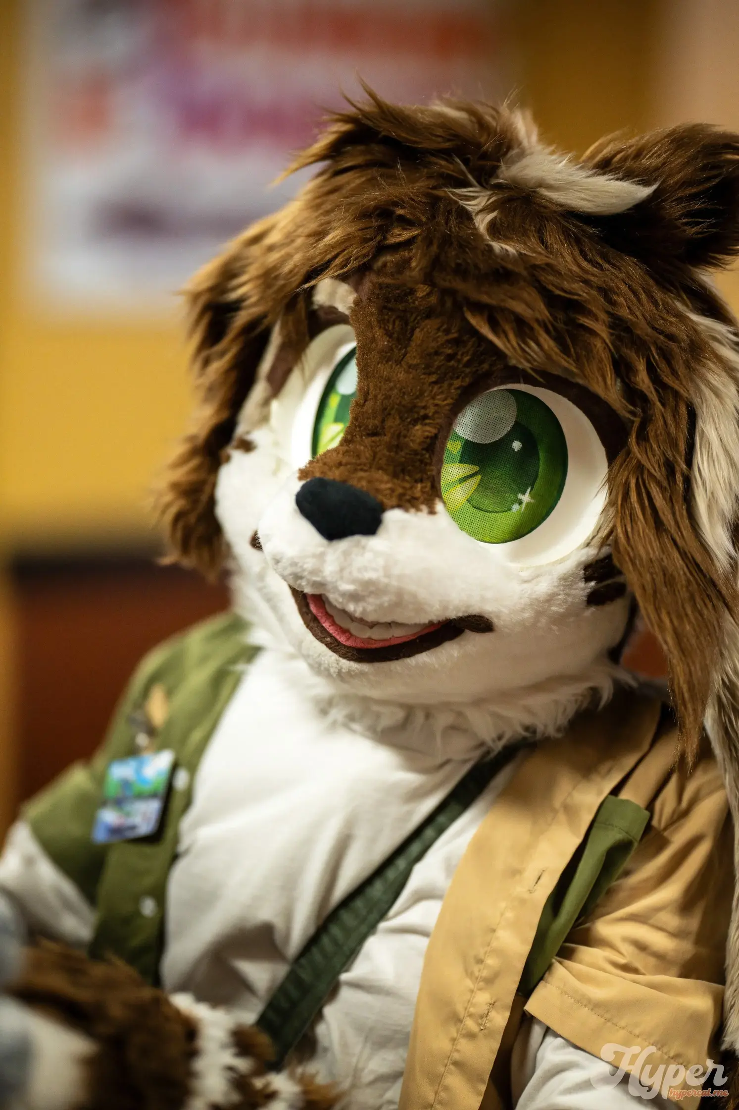 Delaware Furbowl 91 (June 2025)