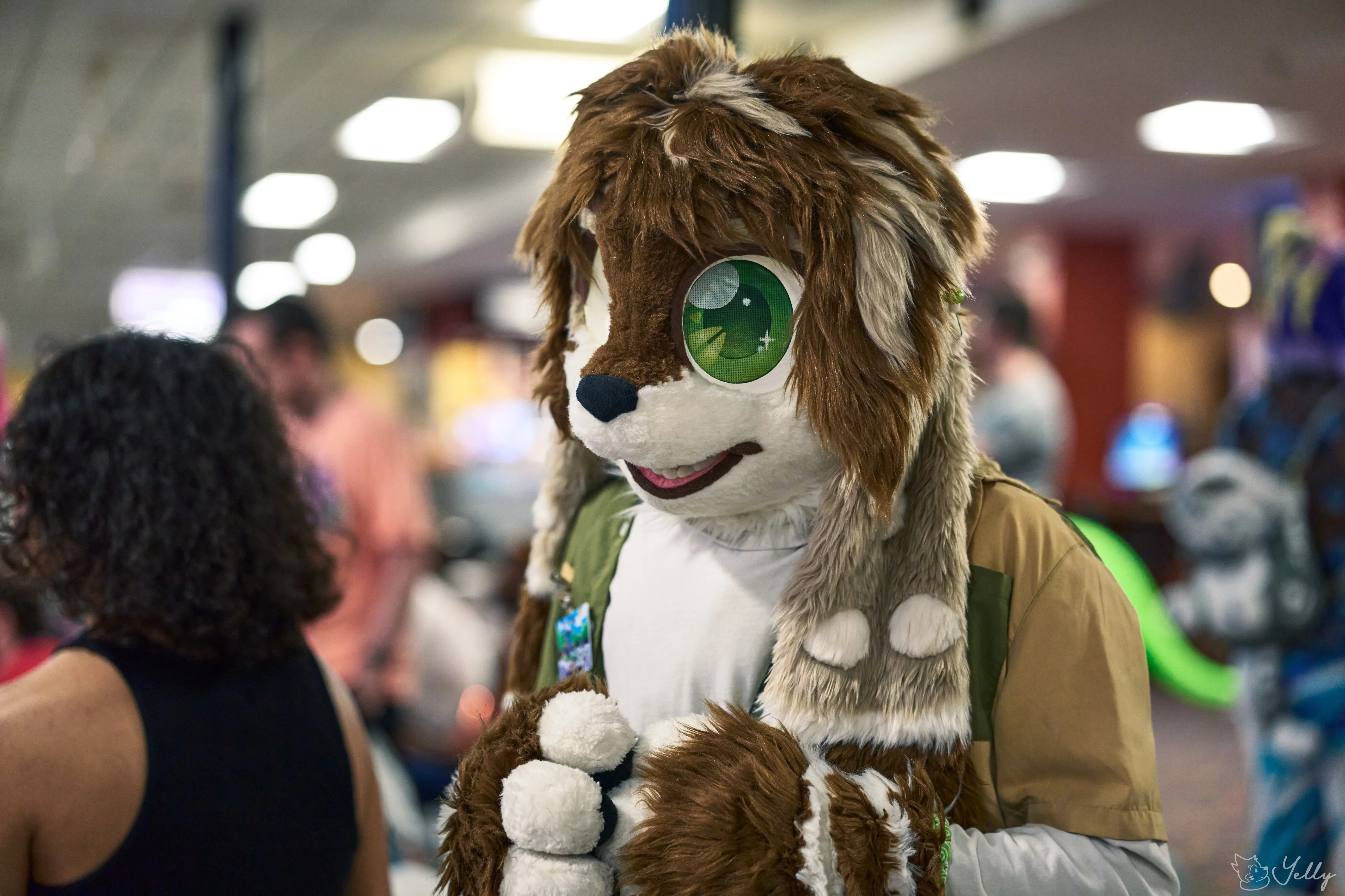 Delaware Furbowl 91 (June 2025)