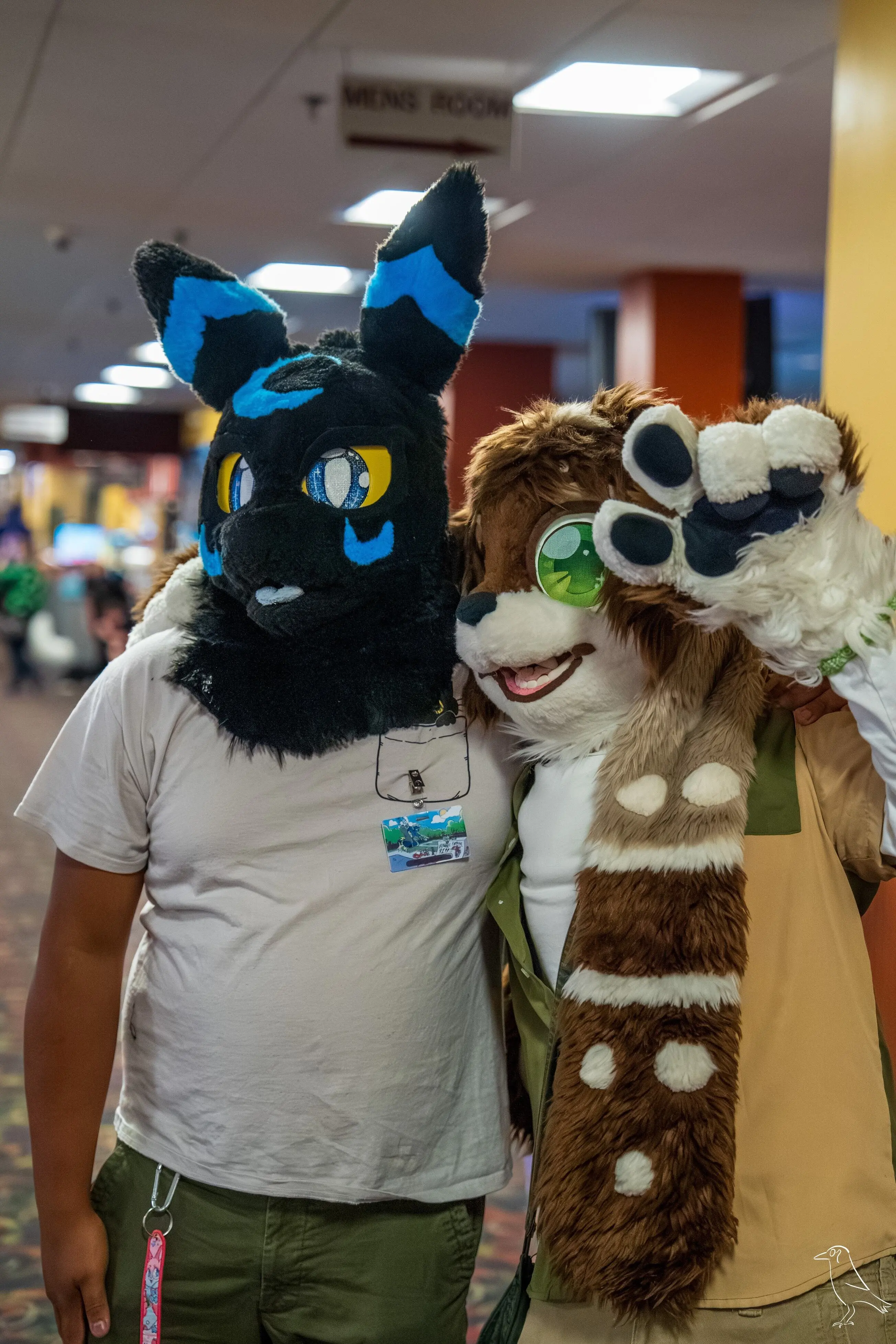 Delaware Furbowl 91 (June 2025)