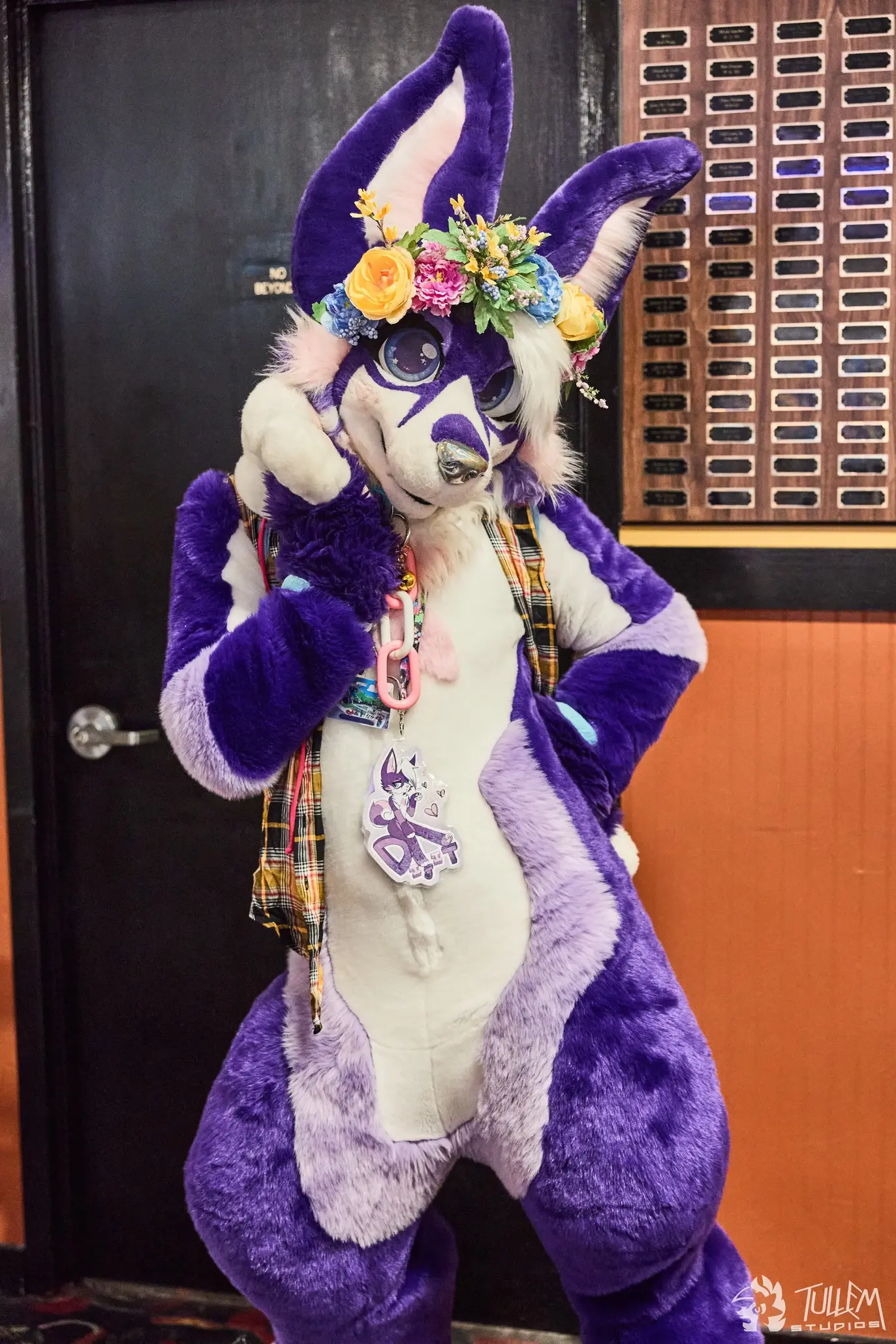 Delaware Furbowl 91 (June 2025)