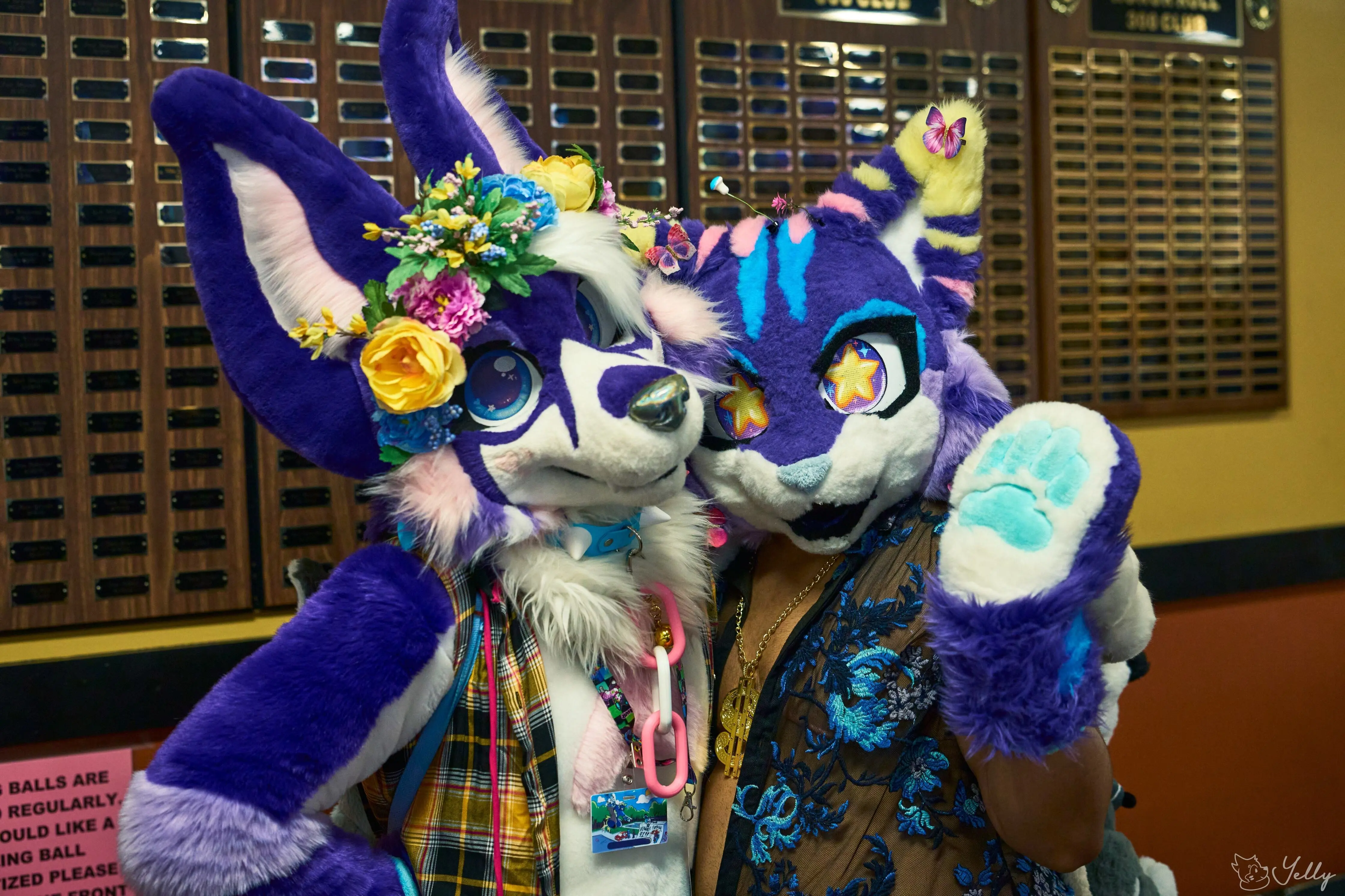 Delaware Furbowl 91 (June 2025)