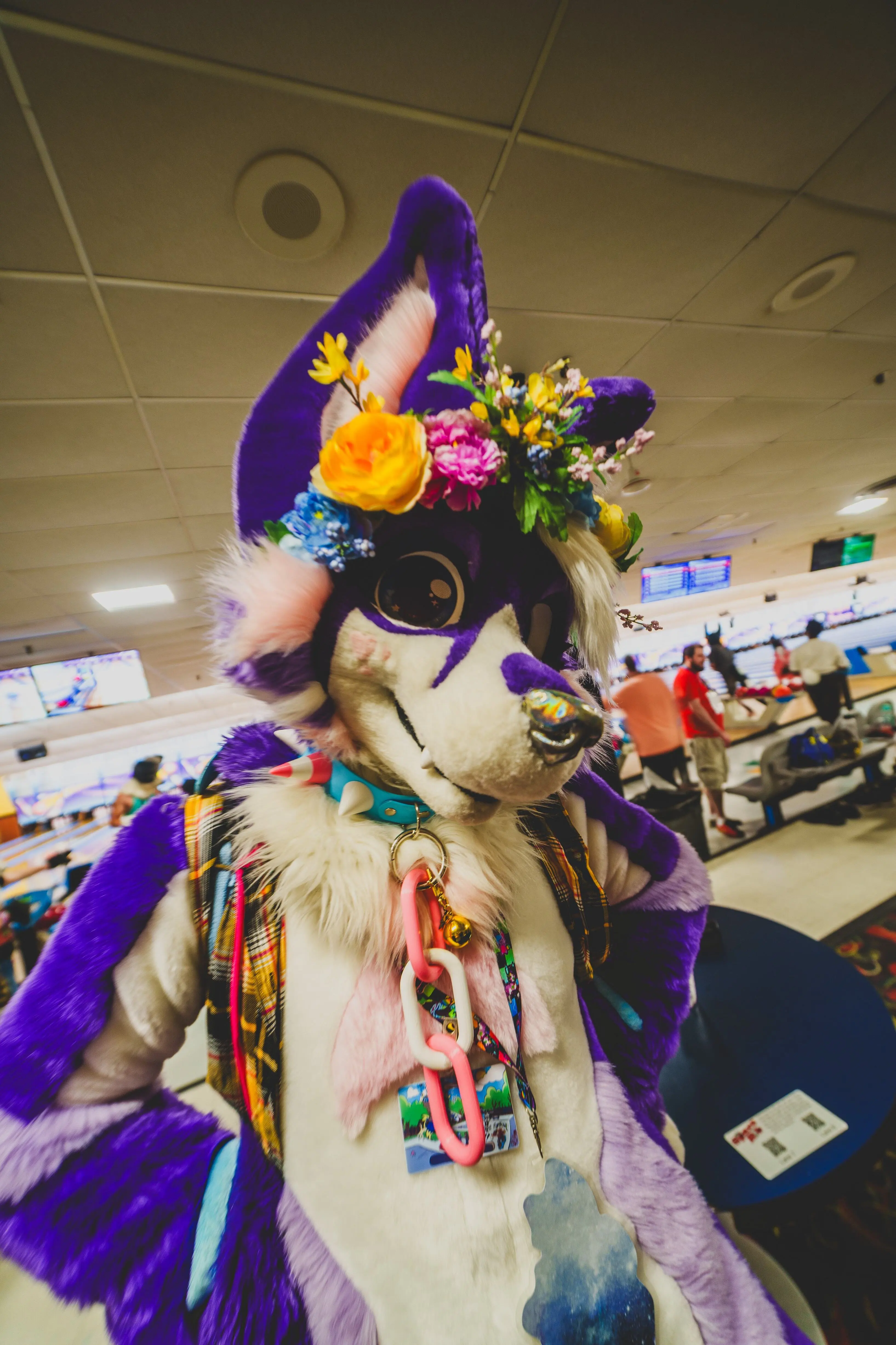 Delaware Furbowl 91 (June 2025)