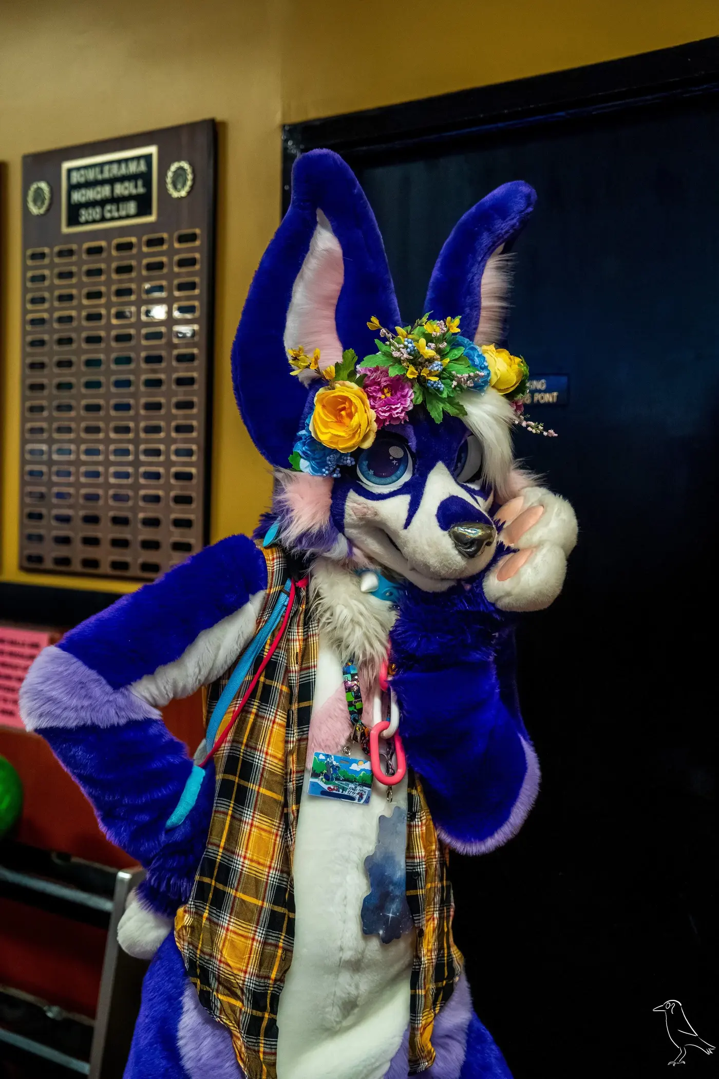 Delaware Furbowl 91 (June 2025)