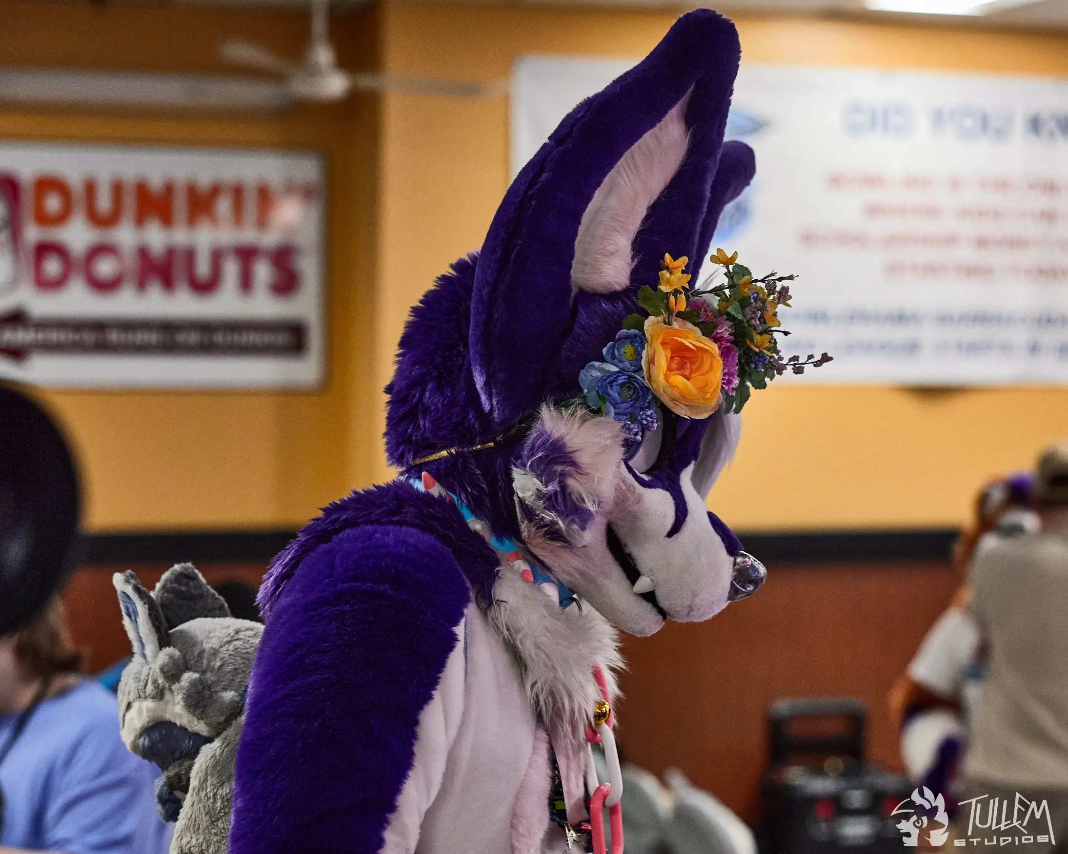 Delaware Furbowl 91 (June 2025)