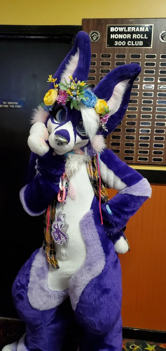 Delaware Furbowl 91 (June 2025)