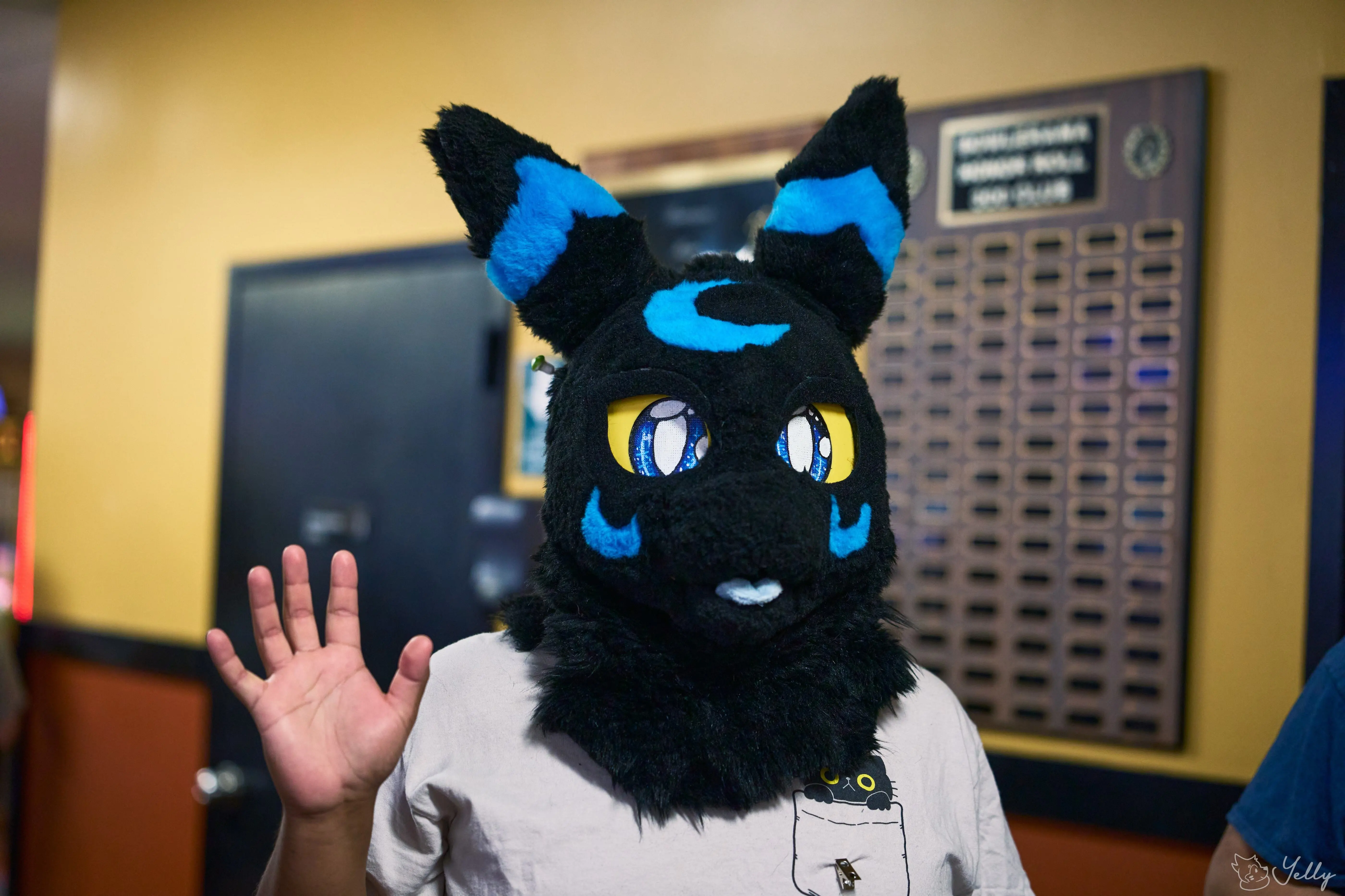 Delaware Furbowl 91 (June 2025)