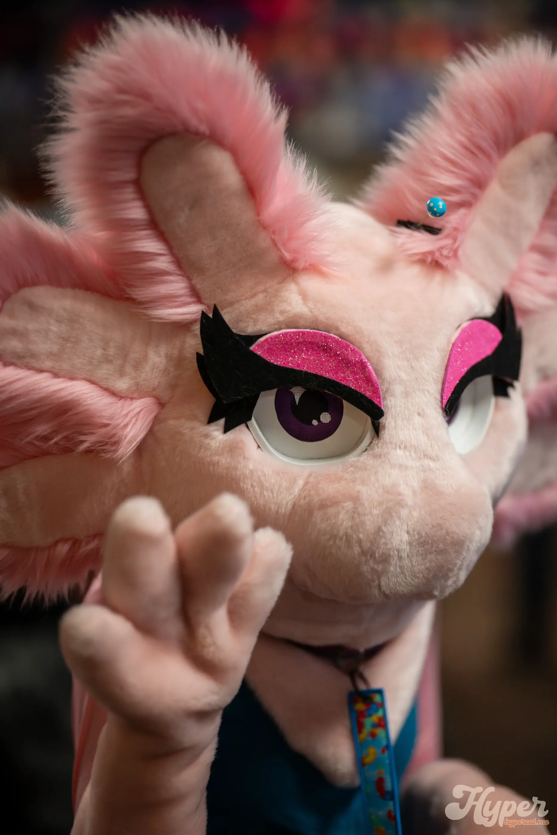 Delaware Furbowl 91 (June 2025)