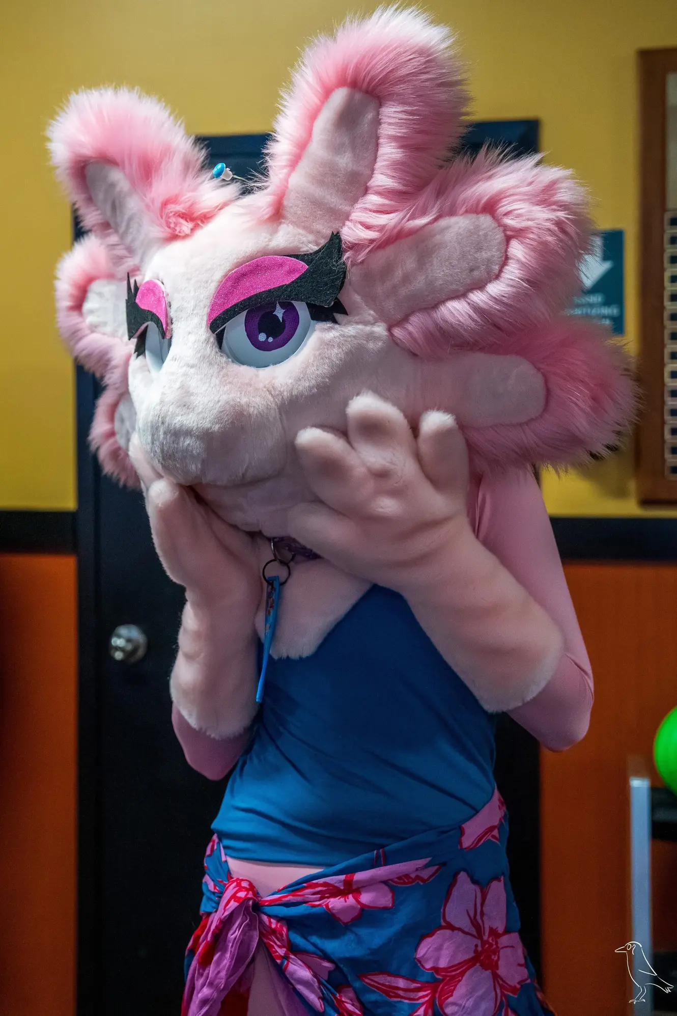 Delaware Furbowl 91 (June 2025)