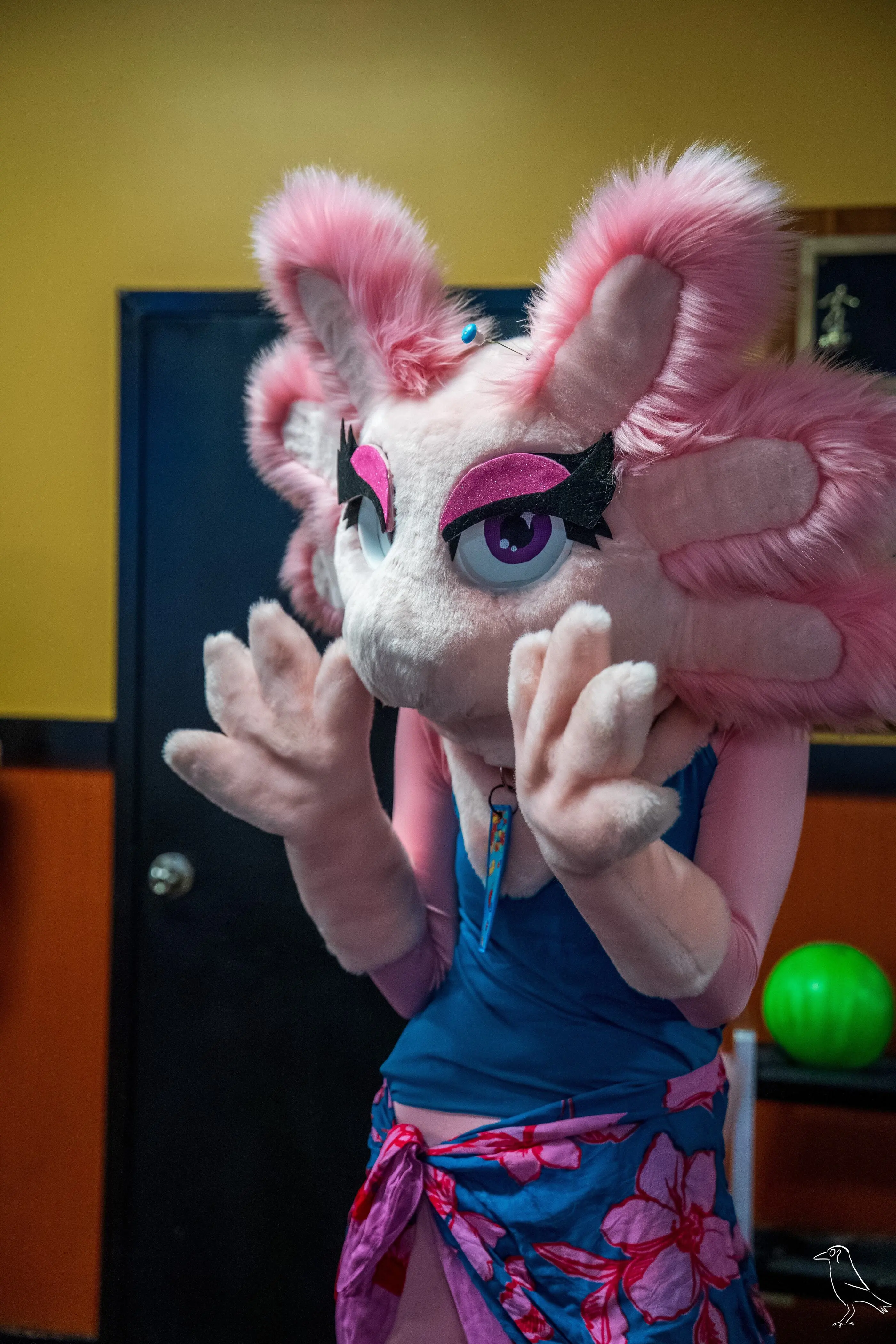 Delaware Furbowl 91 (June 2025)