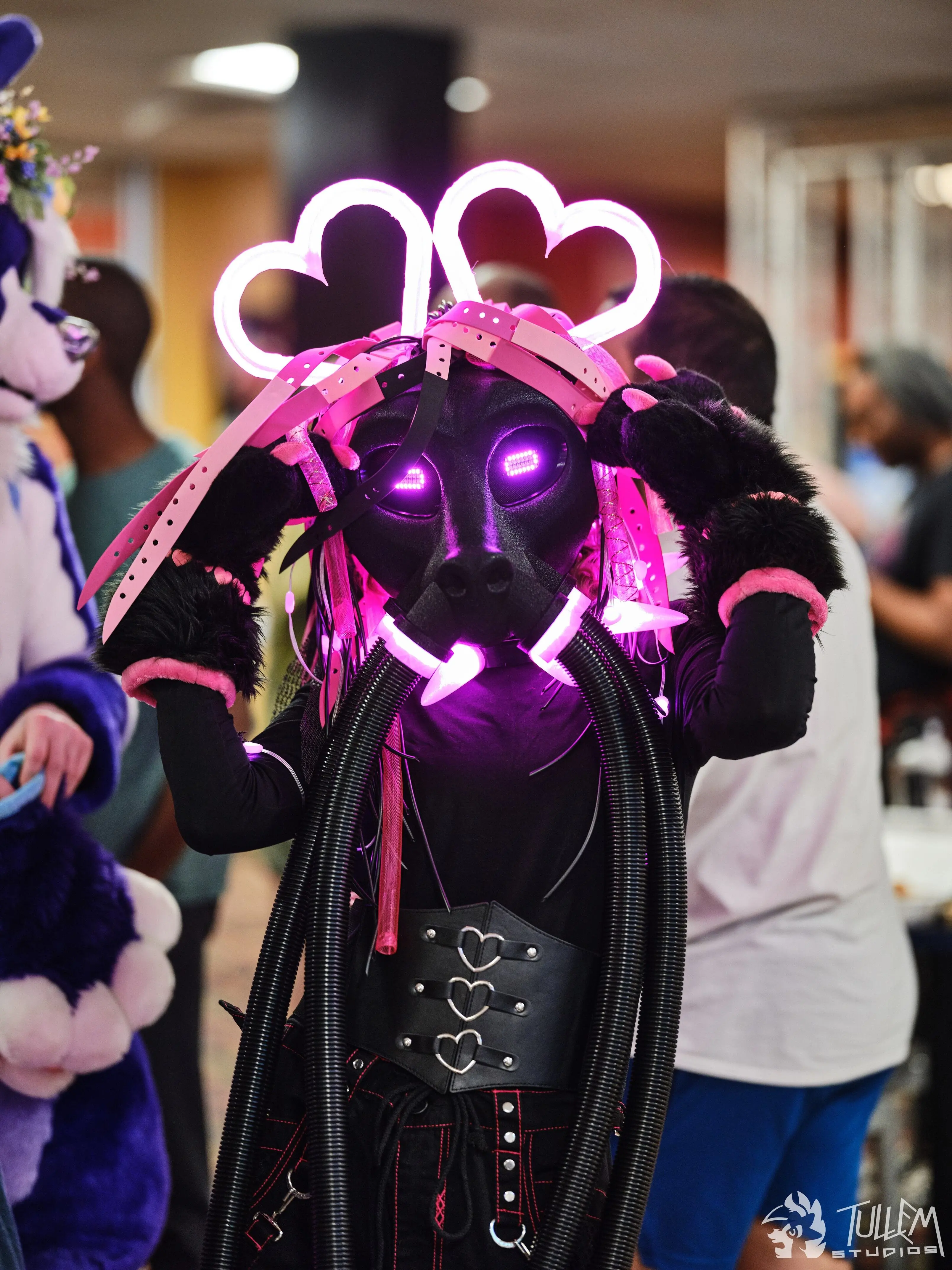 Delaware Furbowl 91 (June 2025)
