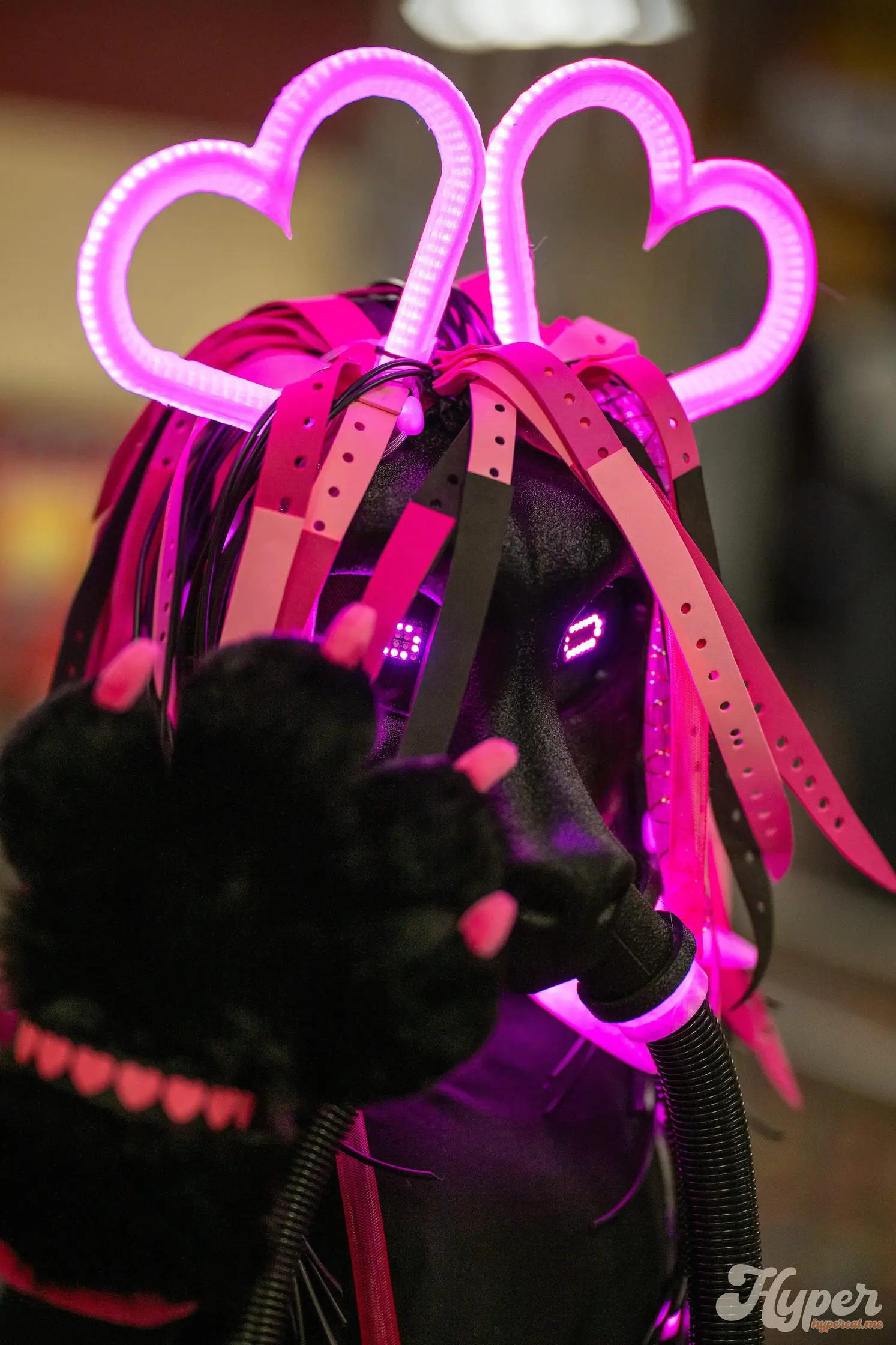 Delaware Furbowl 91 (June 2025)