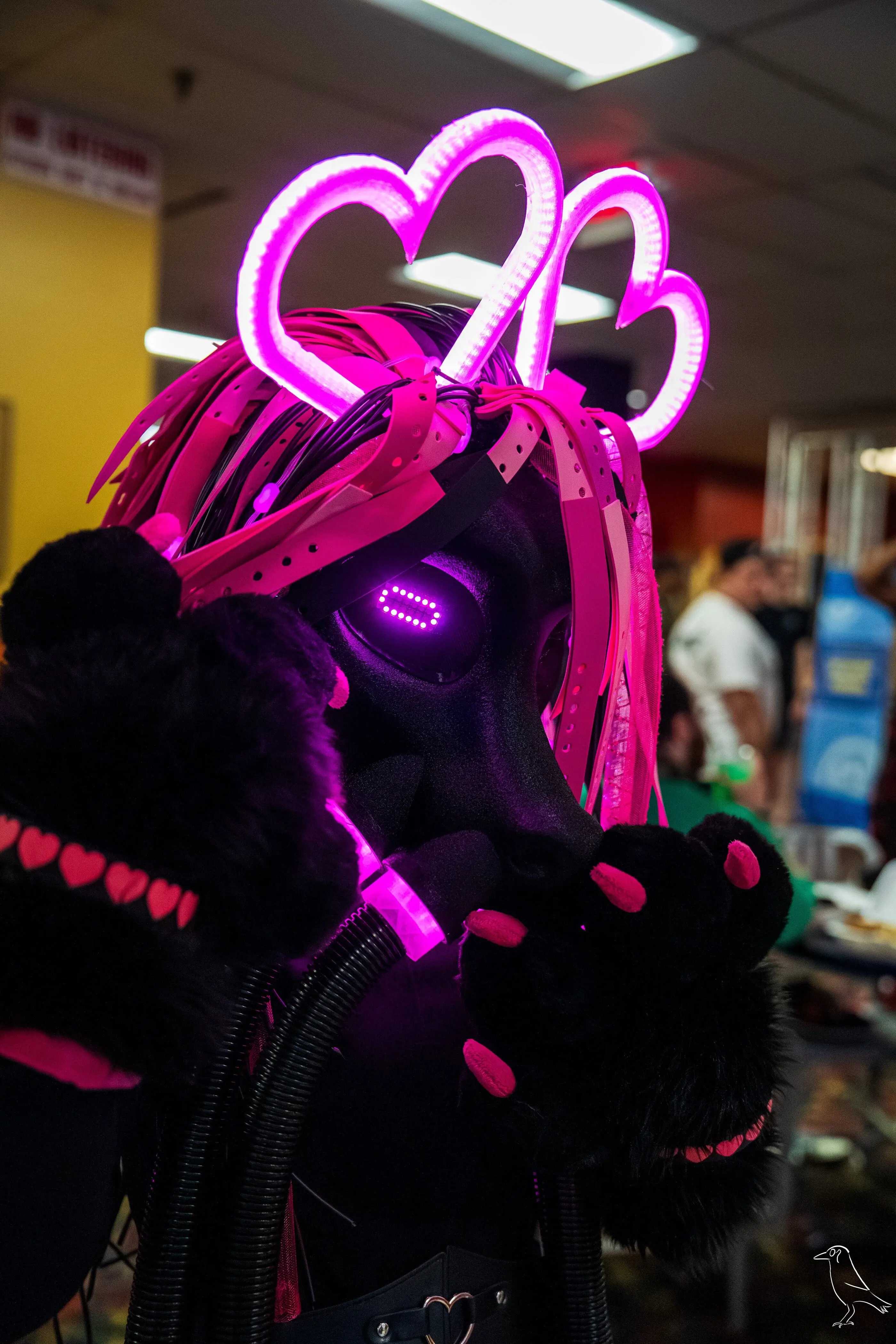 Delaware Furbowl 91 (June 2025)