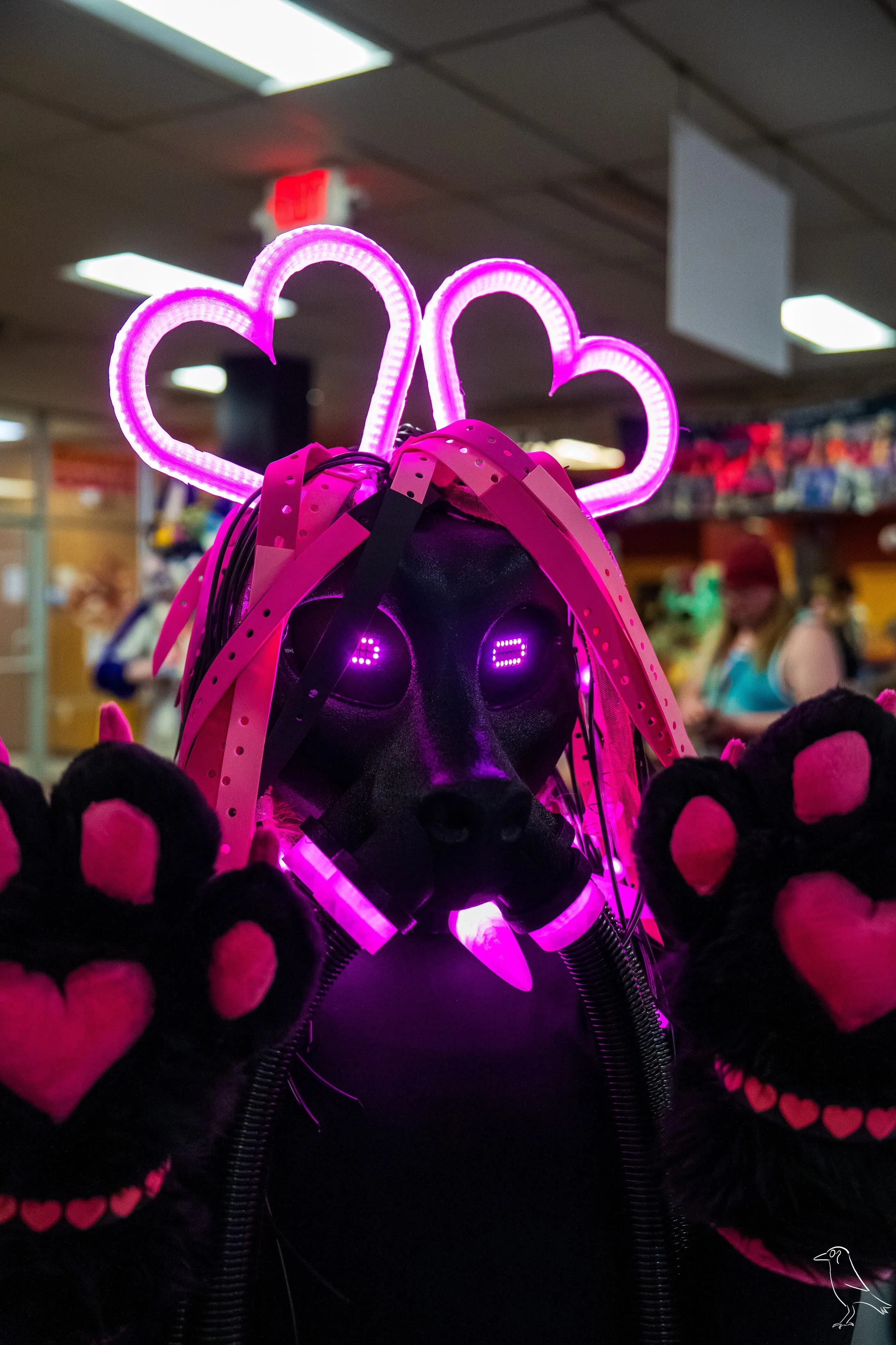 Delaware Furbowl 91 (June 2025)
