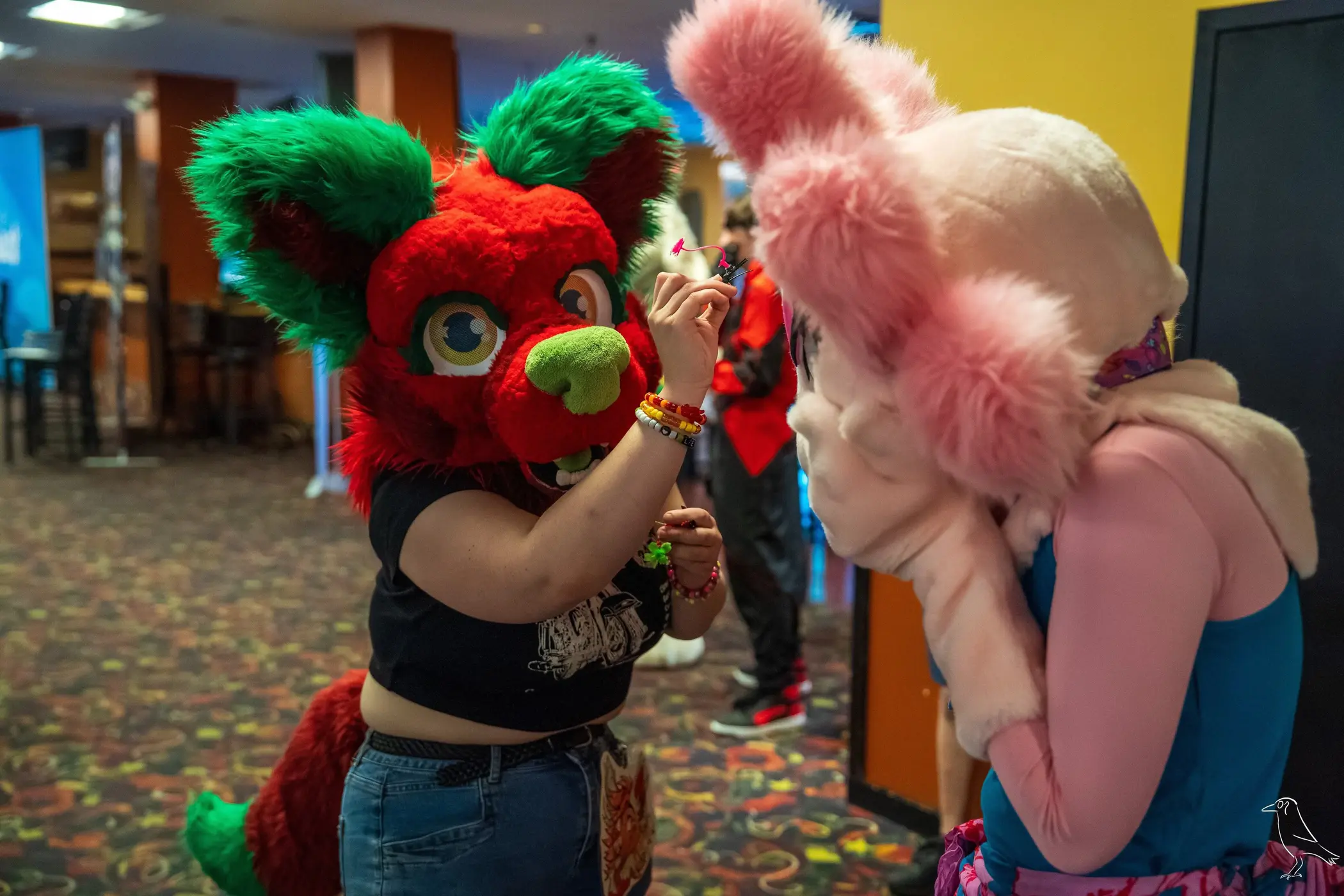 Delaware Furbowl 91 (June 2025)