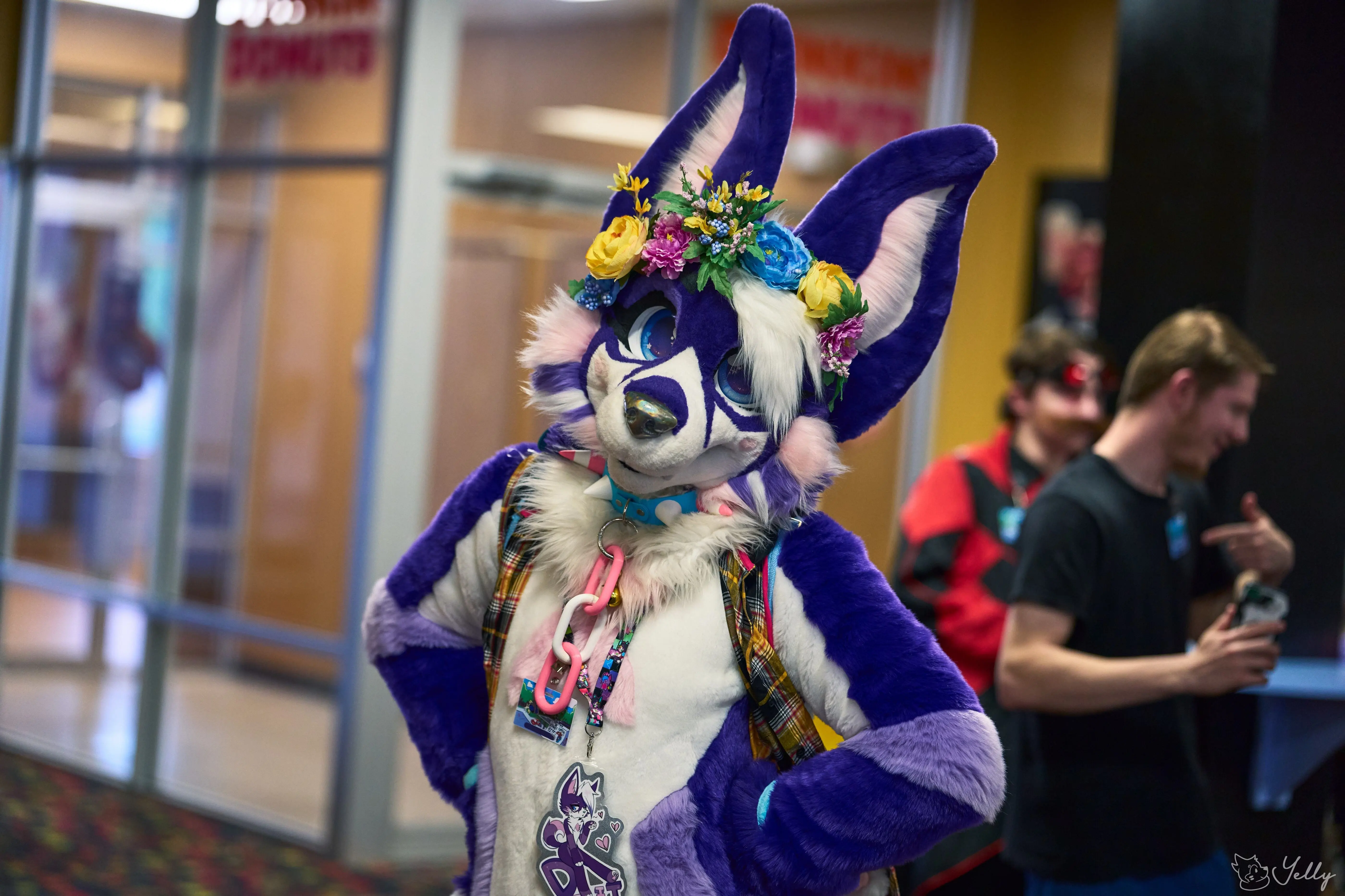 Delaware Furbowl 91 (June 2025)
