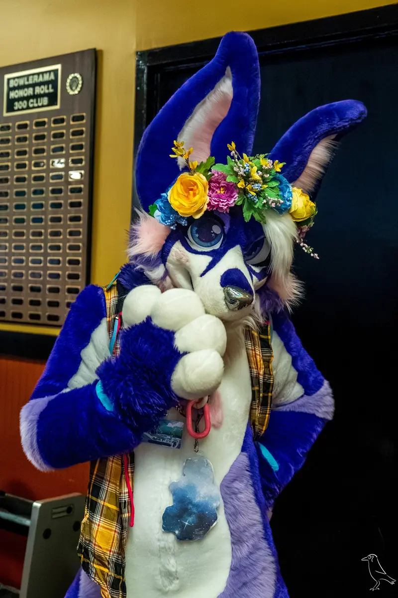 Delaware Furbowl 91 (June 2025)