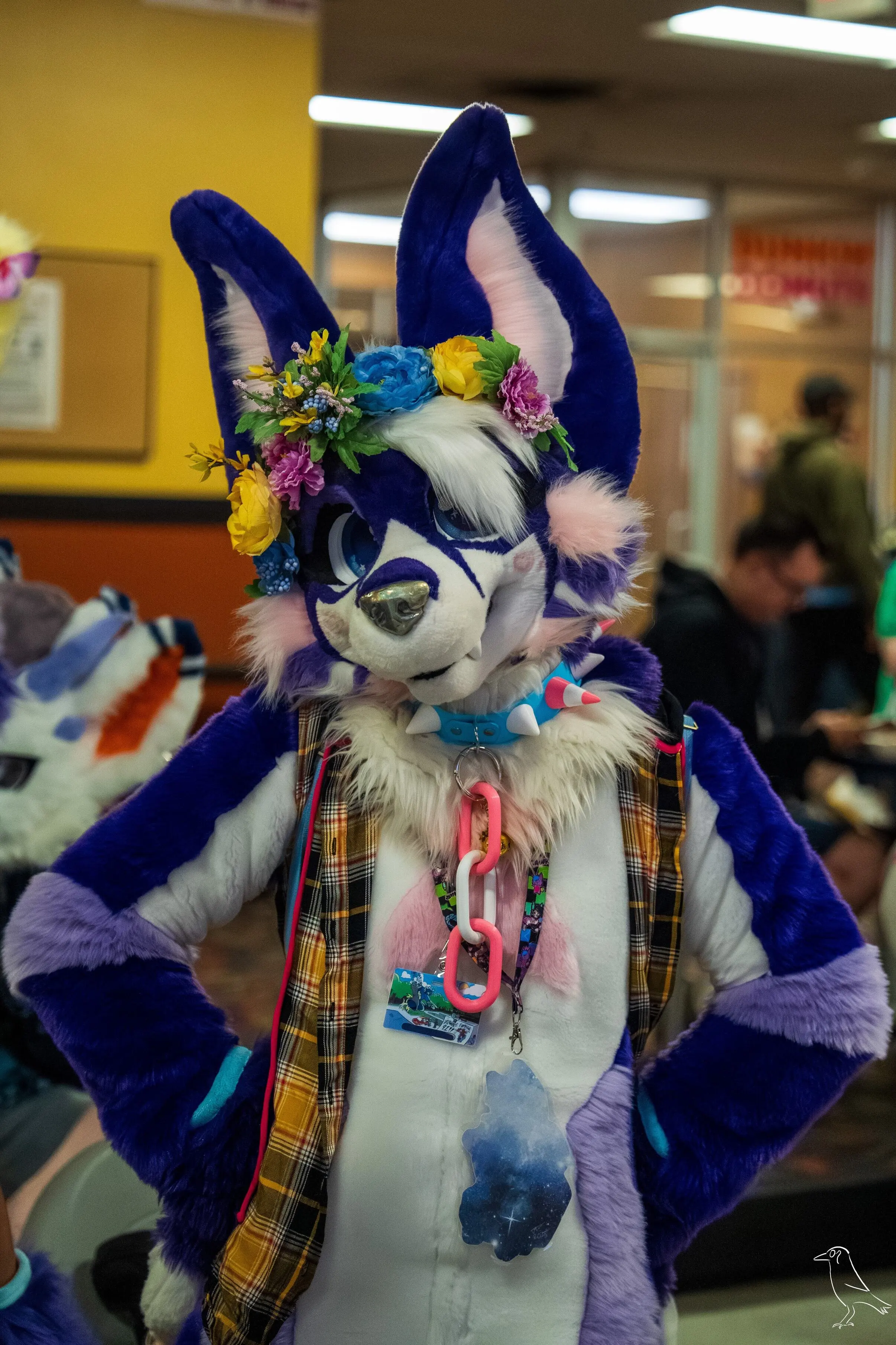 Delaware Furbowl 91 (June 2025)