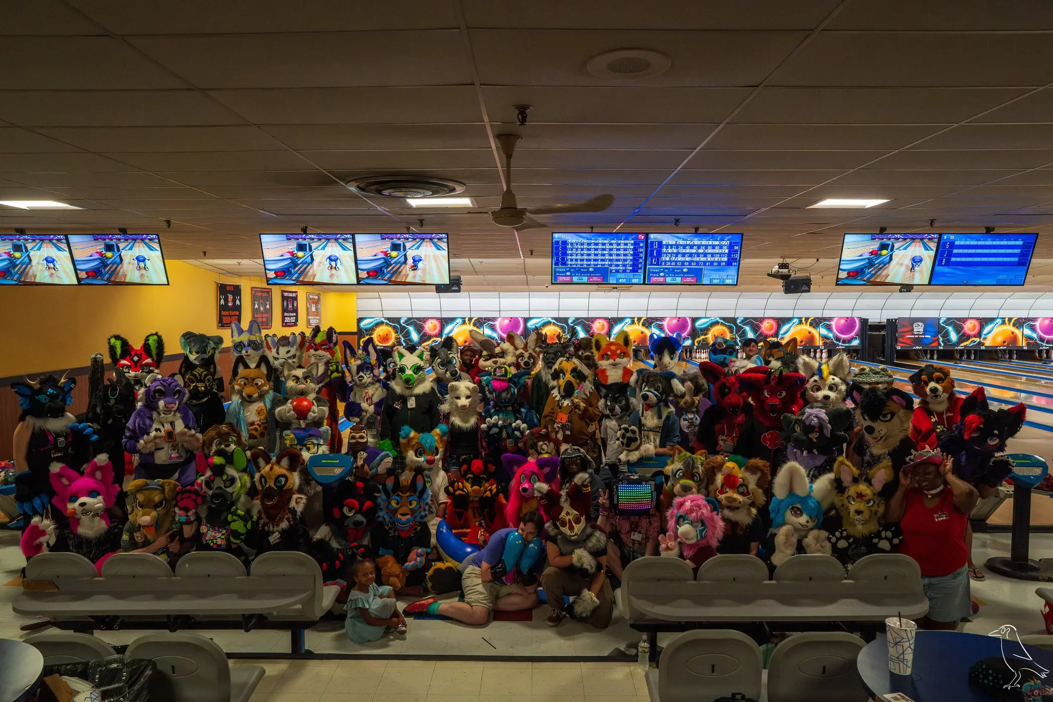 Delaware Furbowl 92 (July 2025)
