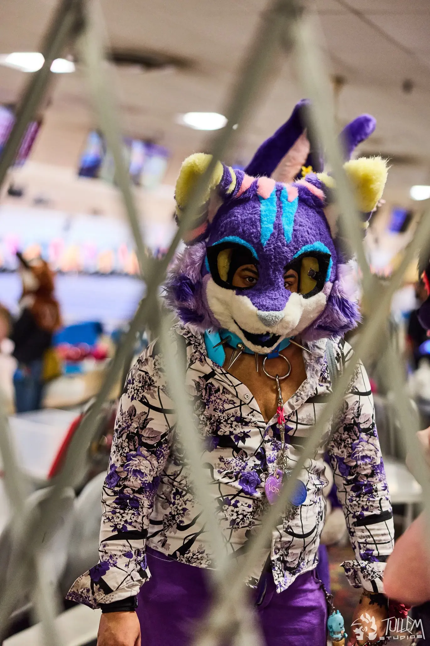 Delaware Furbowl 92 (July 2025)