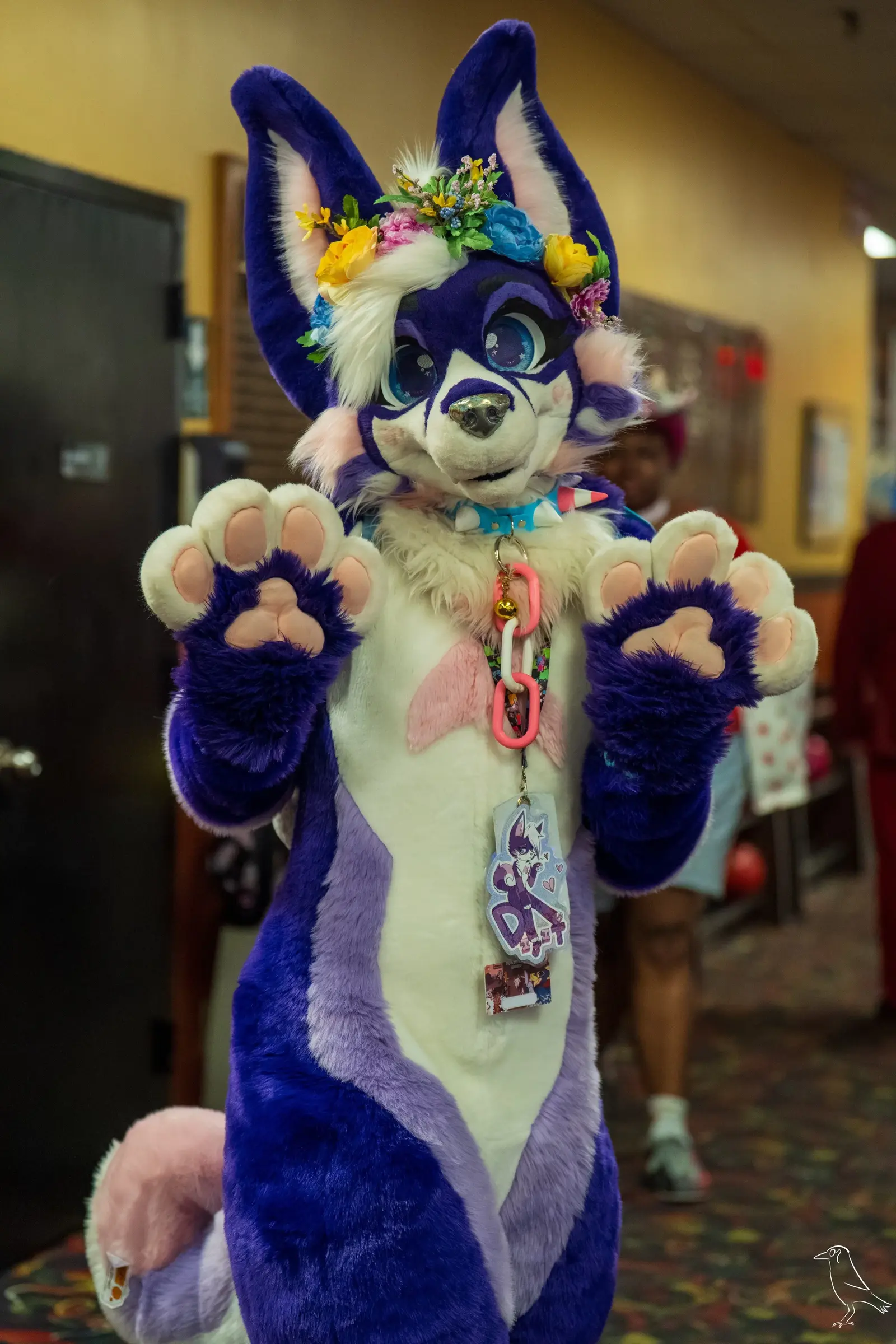 Delaware Furbowl 92 (July 2025)