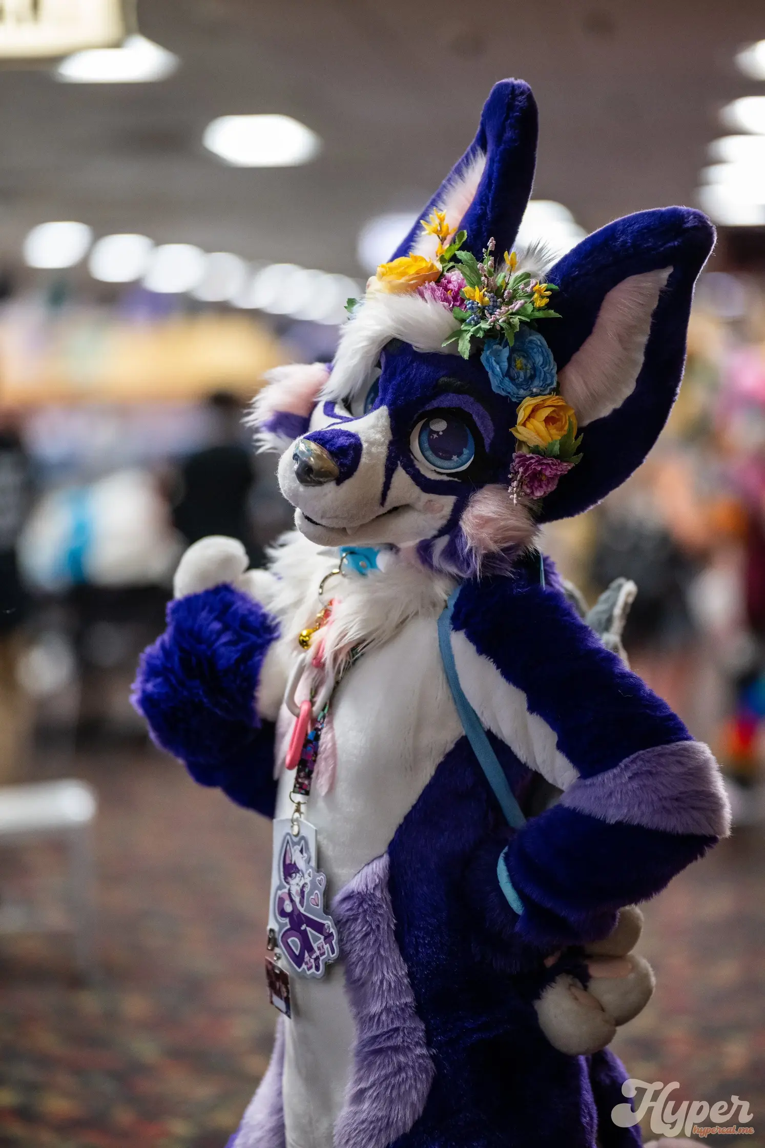 Delaware Furbowl 92 (July 2025)