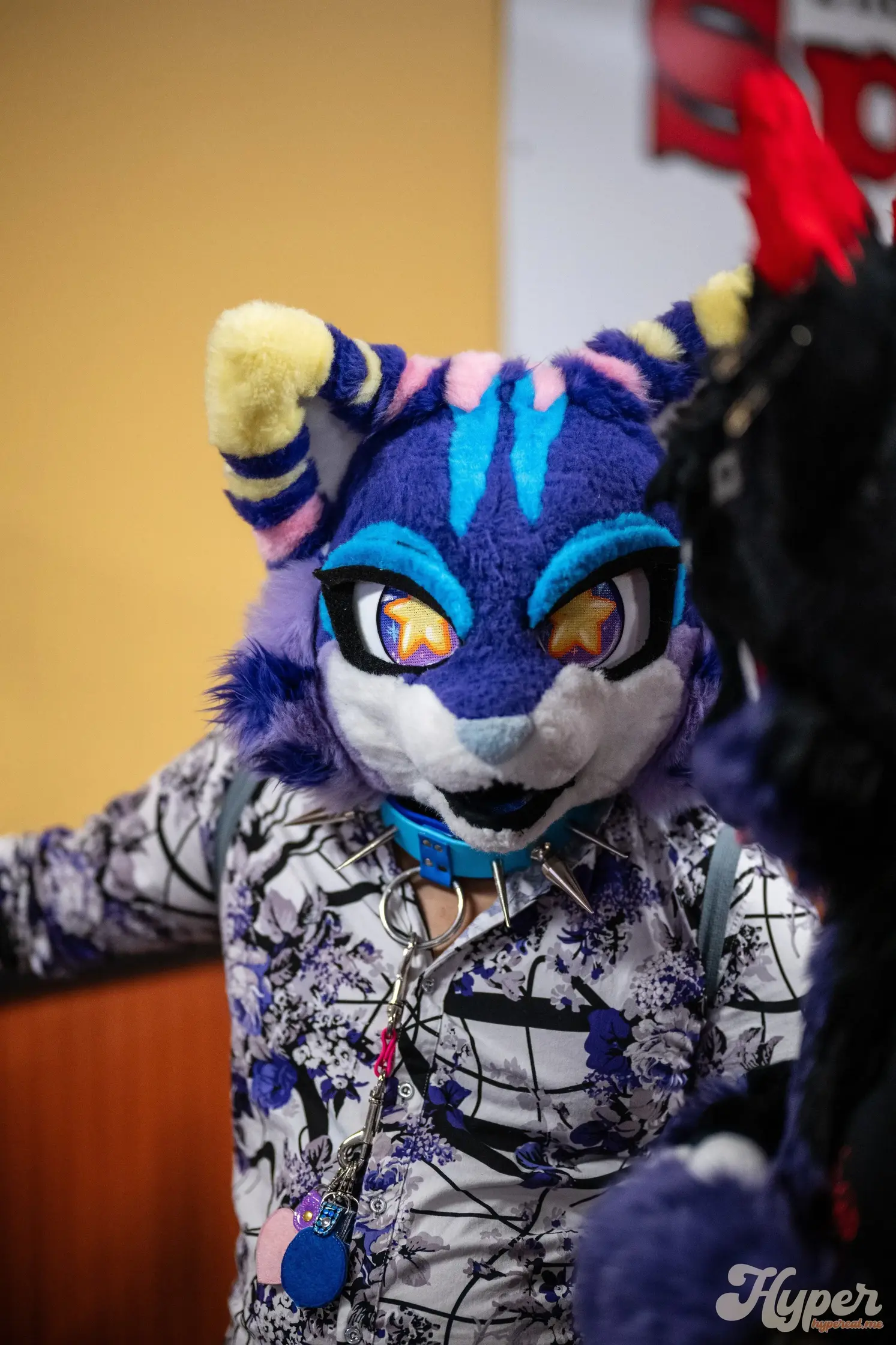 Delaware Furbowl 92 (July 2025)